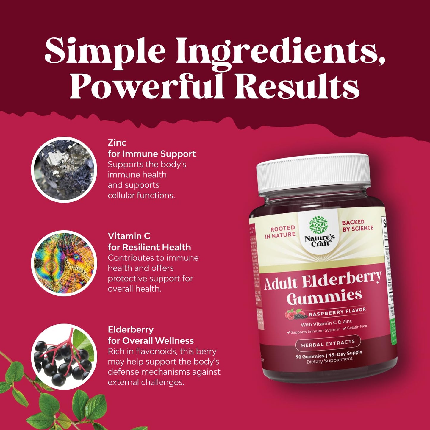 Natures Craft Elderberry Vitamin C and Zinc Gummies 90 Count