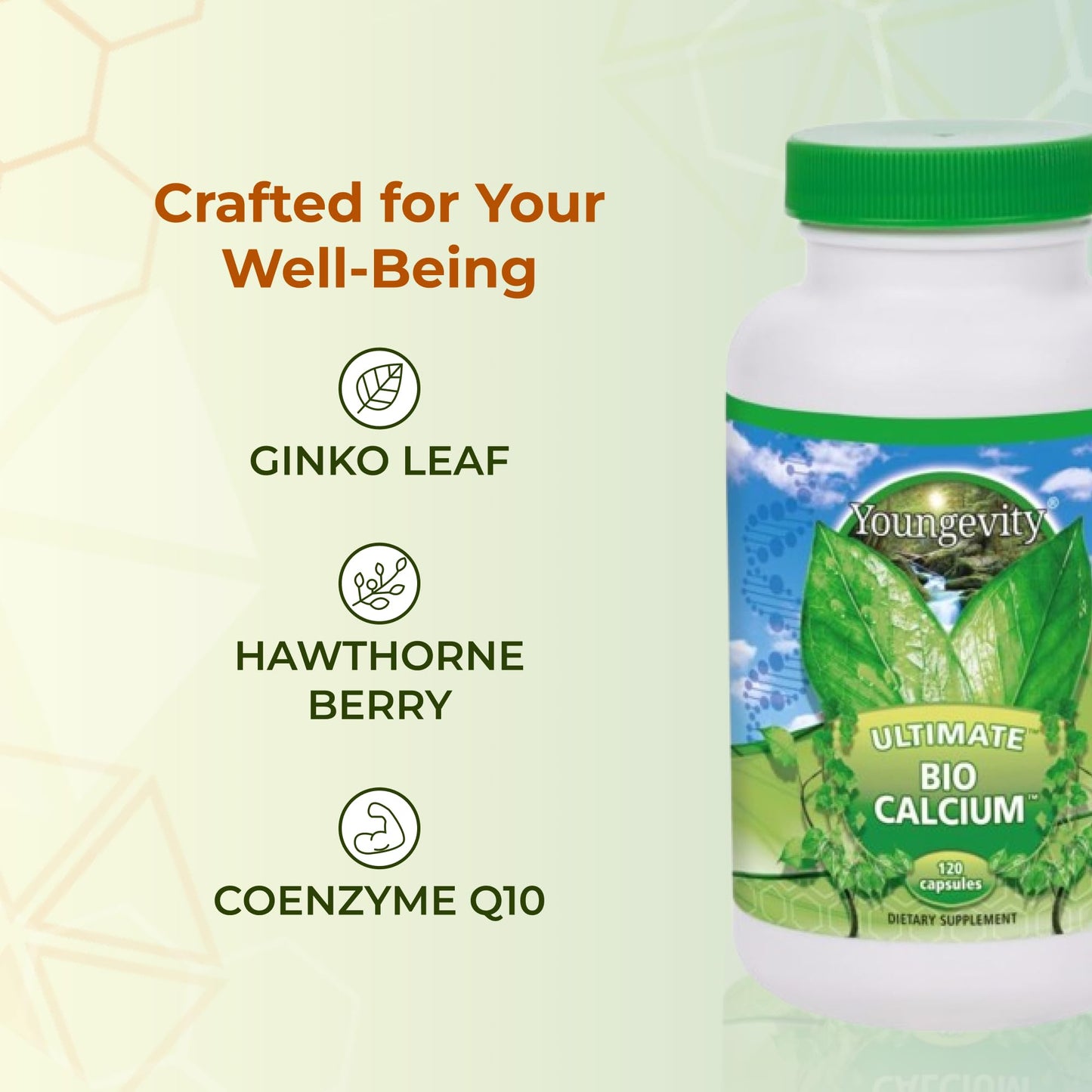 Youngevity Cardio FX Cardiovascular Support Supplement with CoQ10 Capsule, 1 Count