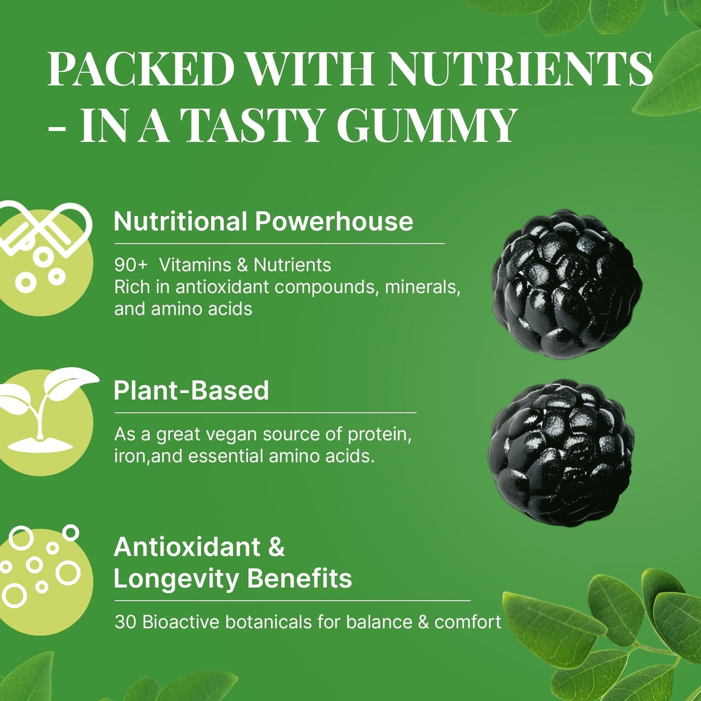 Risabou Moringa Gummies Moringa Oleifera Leaf 50:1 Extract 120 Count