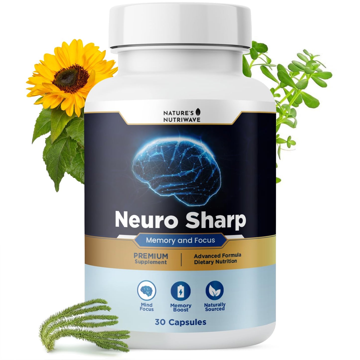 Nature’s NutriWave Neuro Sharp Bacopa, Ginkgo Biloba & Huperzine-A Capsule, 30 Count