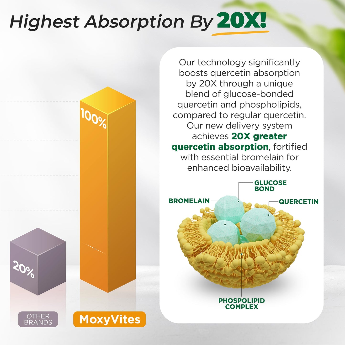 MoxyVites B-Complex Capsule, 120 Count Liposomal Vitamin C & Quercetin for Energy Support