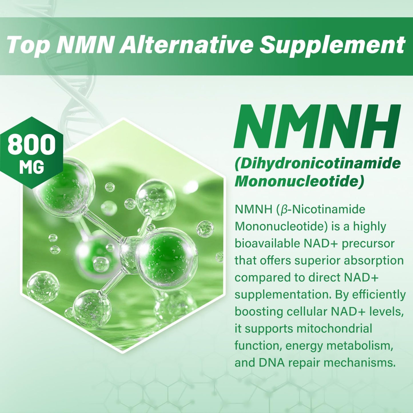 SUPRANOURISH NMNH Supplement (Dihydronicotinamide Mononucleotide) 800mg per Serving, 240 Capsules