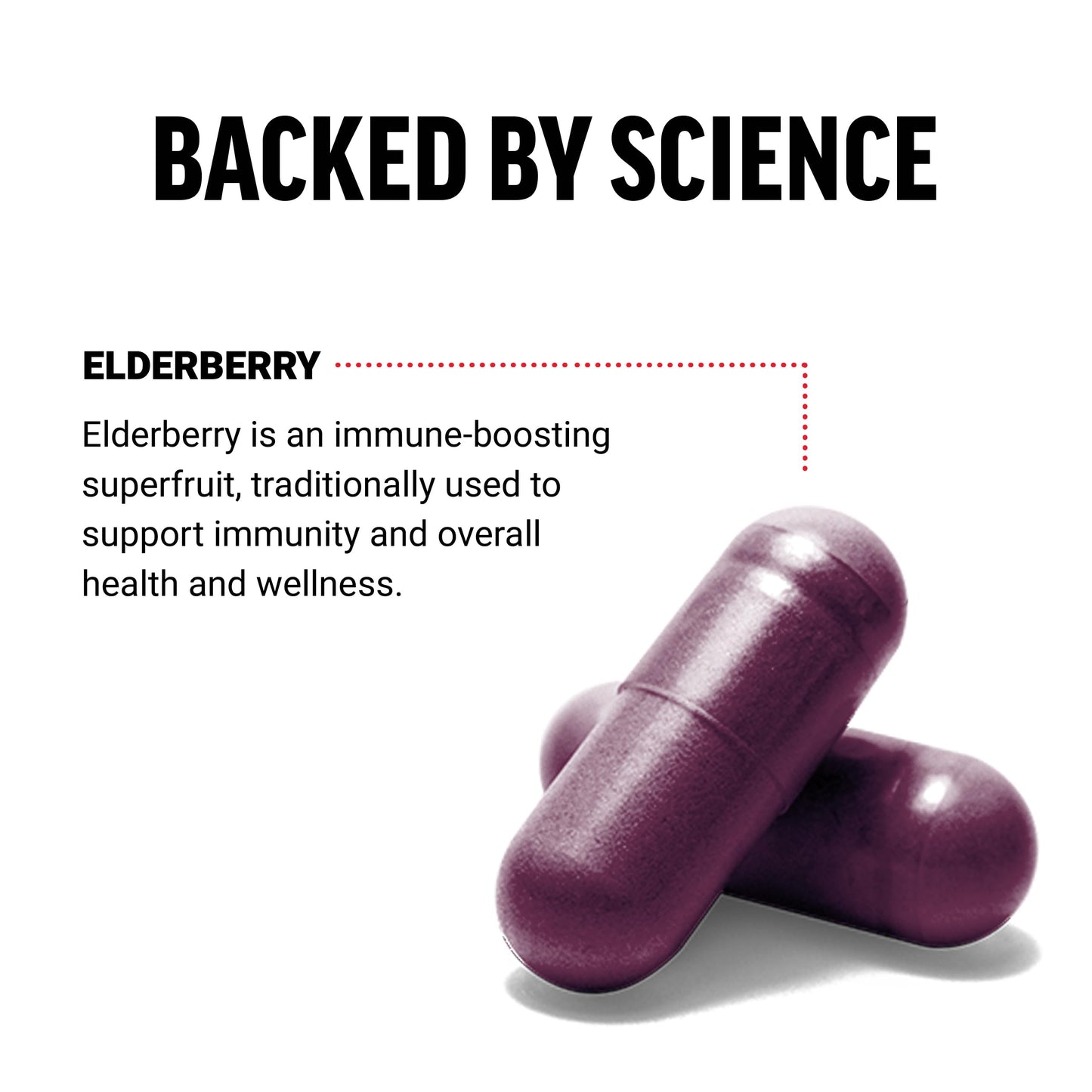 Force Factor Elderberry Capsules 100 Capsules