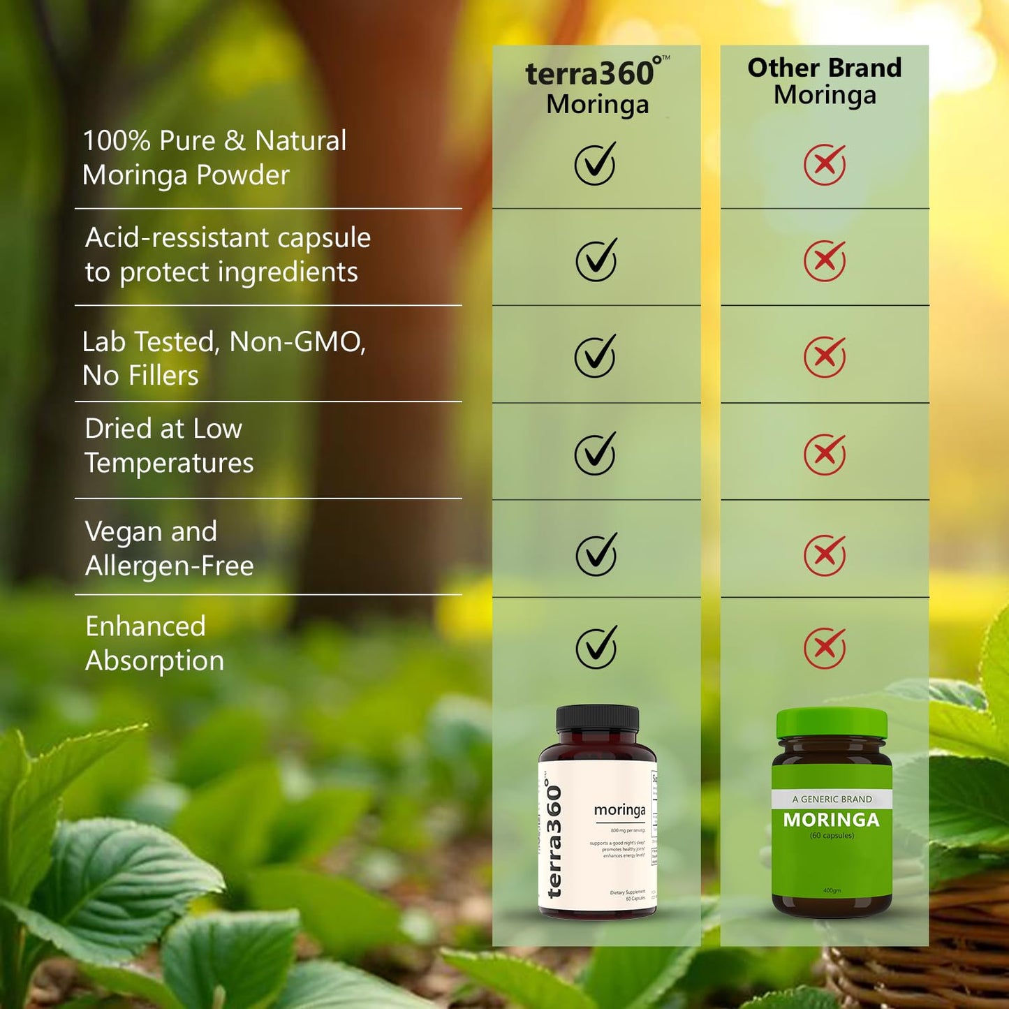 terra360° 800mg Moringa Capsules, 60 Capsules