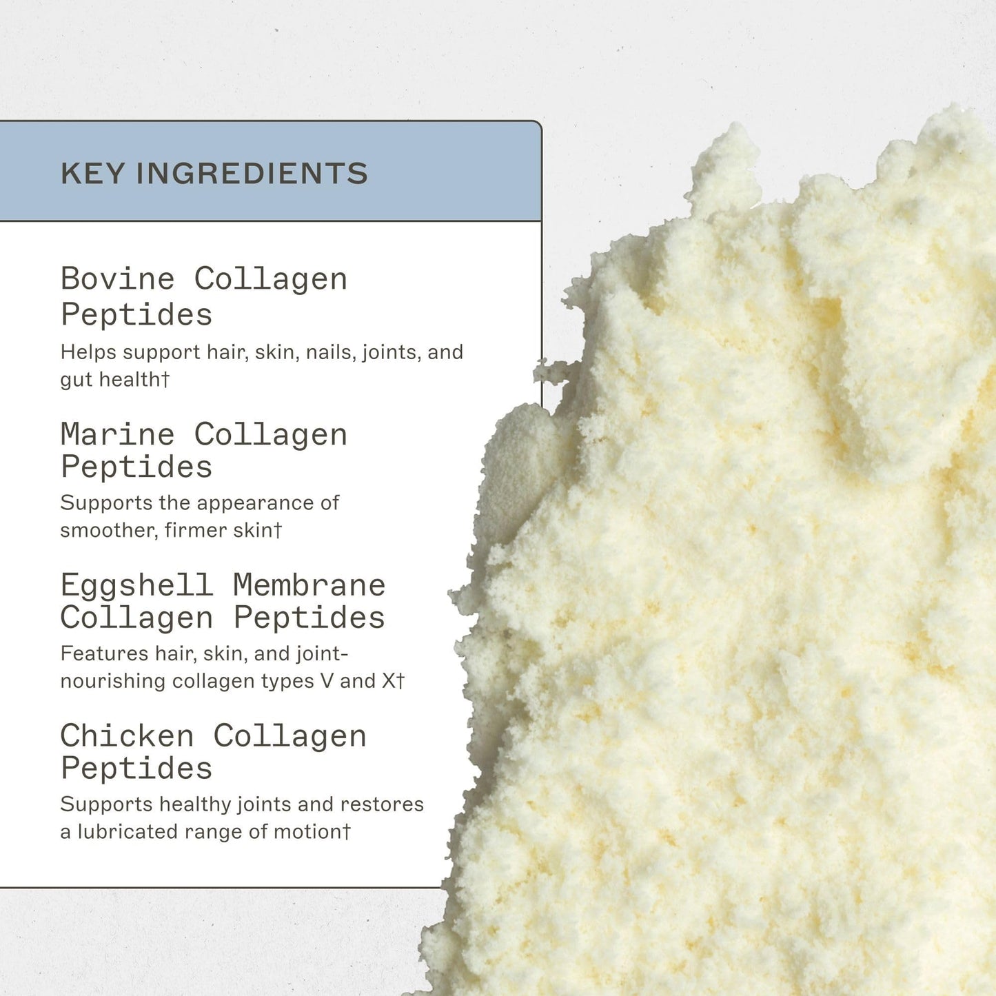 Amy Myers MD Spectrum 5 Collagen Peptides Powder 11.22 oz