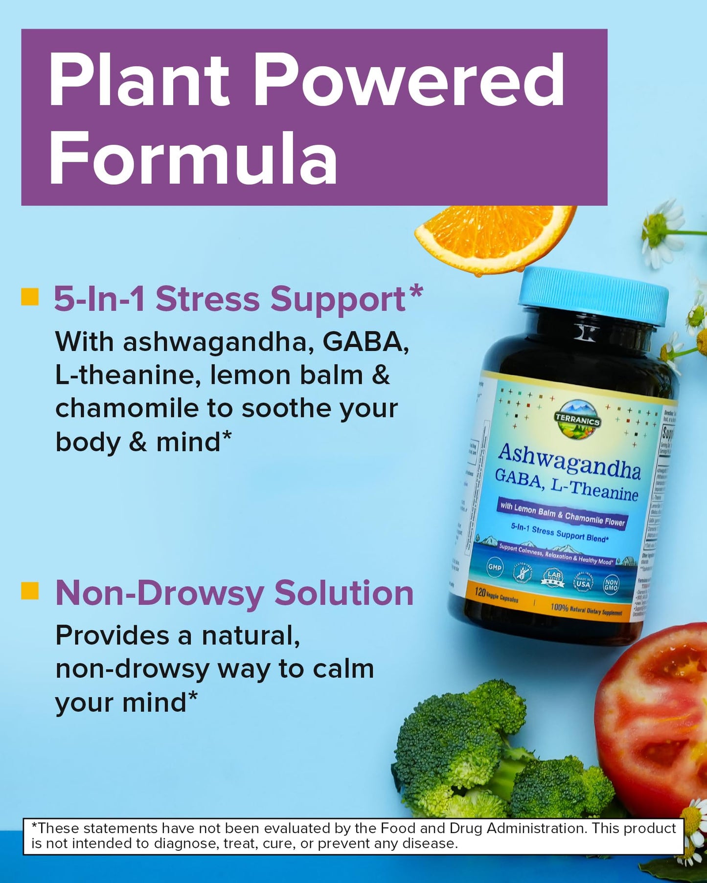 Terranics Ashwagandha L-Theanine Supplement for Stress Relief 120 Vegan Capsules