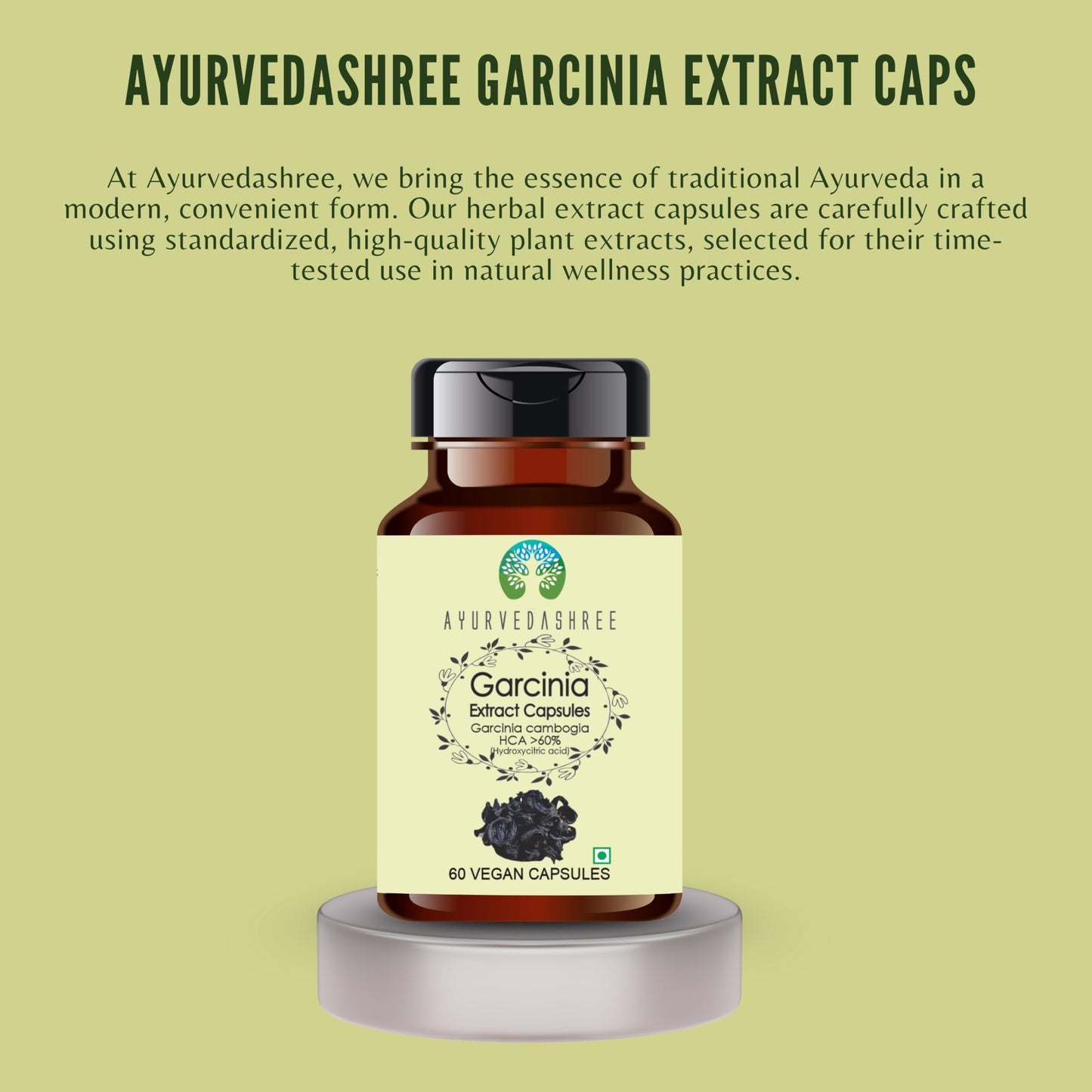 AYURVEDASHREE Garcinia Extract 500mg Capsules 60 Count