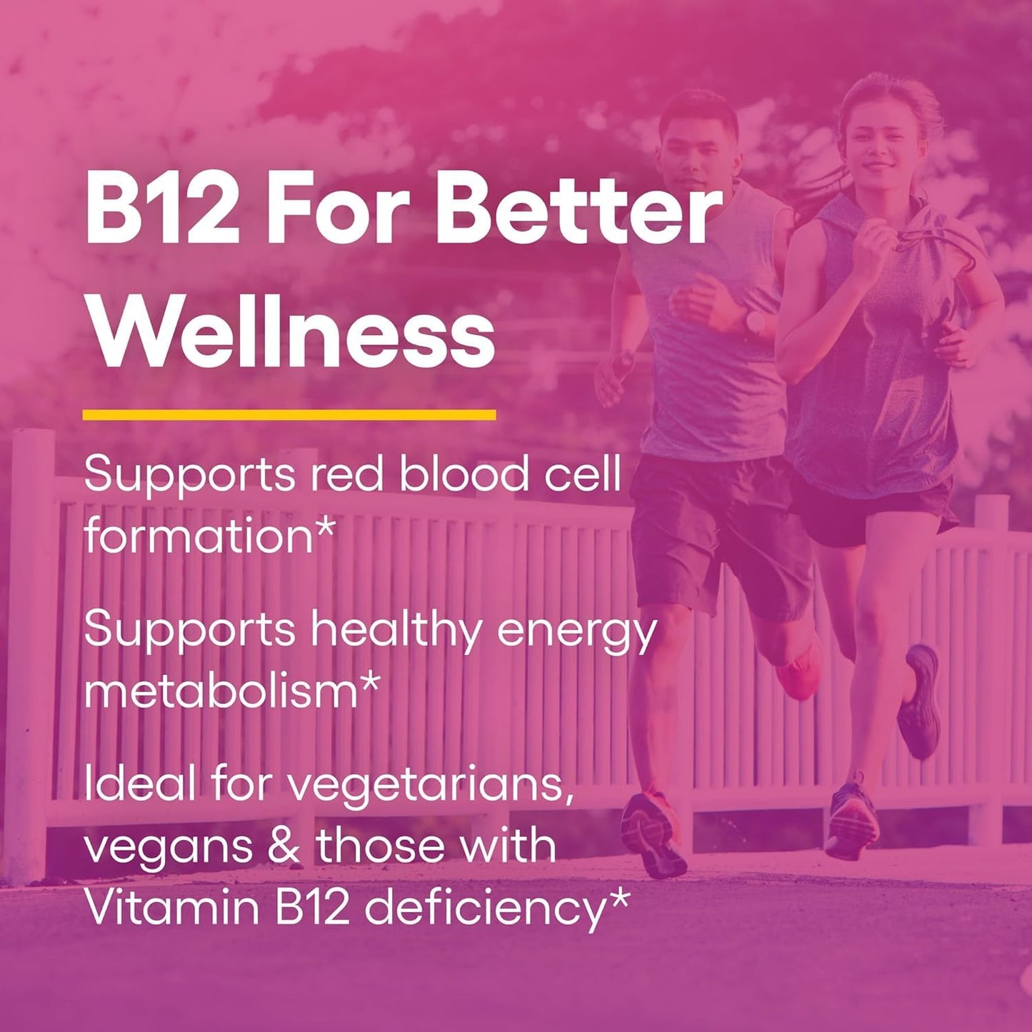 Natural Factors Vitamin B12 Methylcobalamin 1,000 mcg Tablets, 180 Count