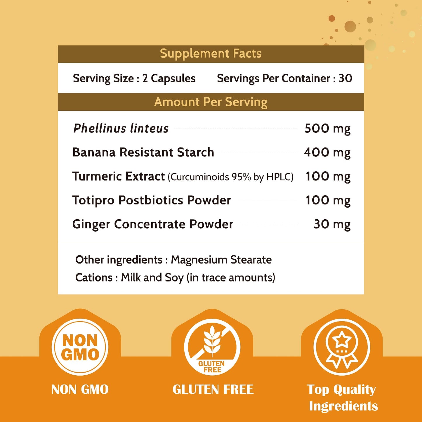Fecula Biotech Turmeric Curcumin Supplements Capsule 60 Count