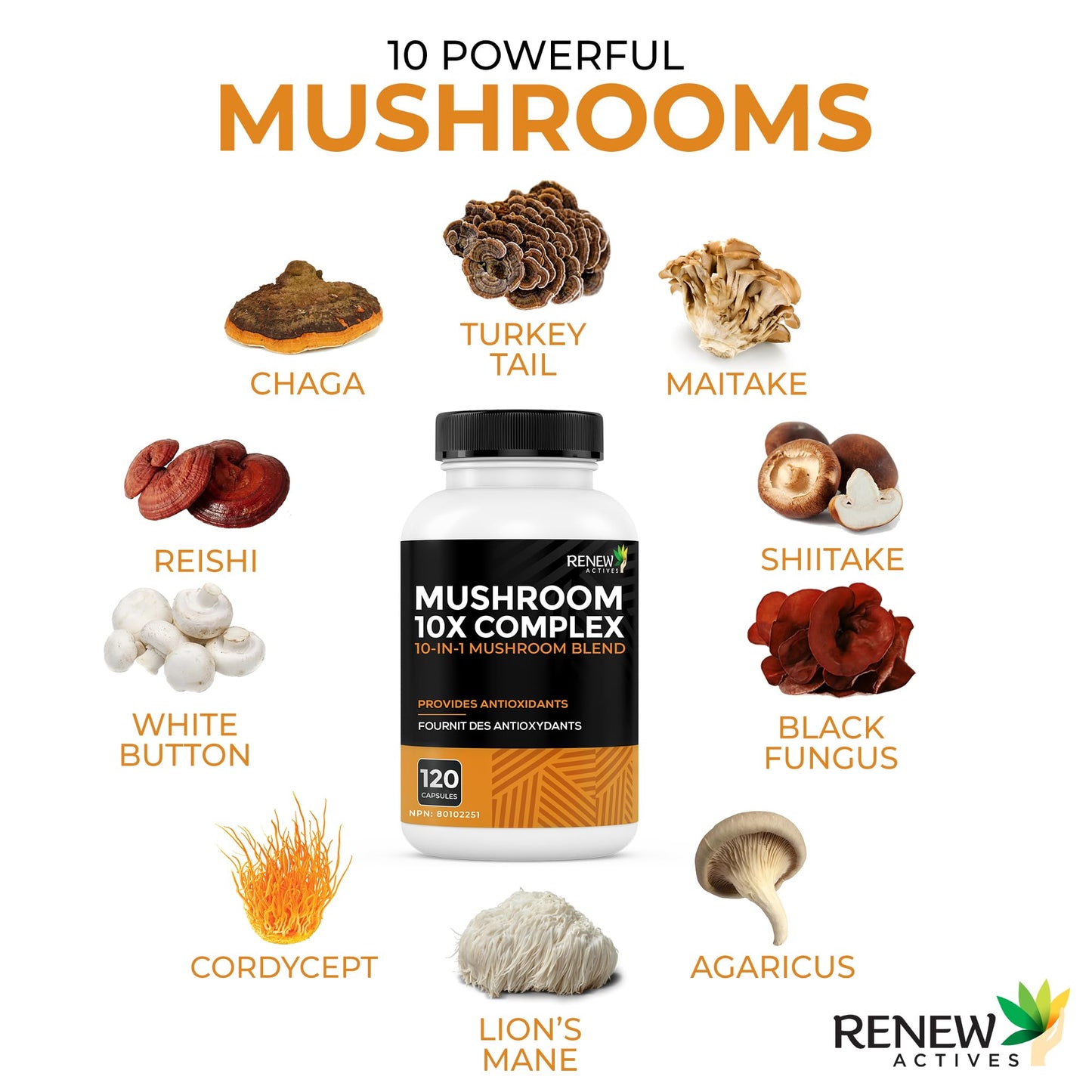 Renew Actives Mushroom Complex Capsule 1 Count