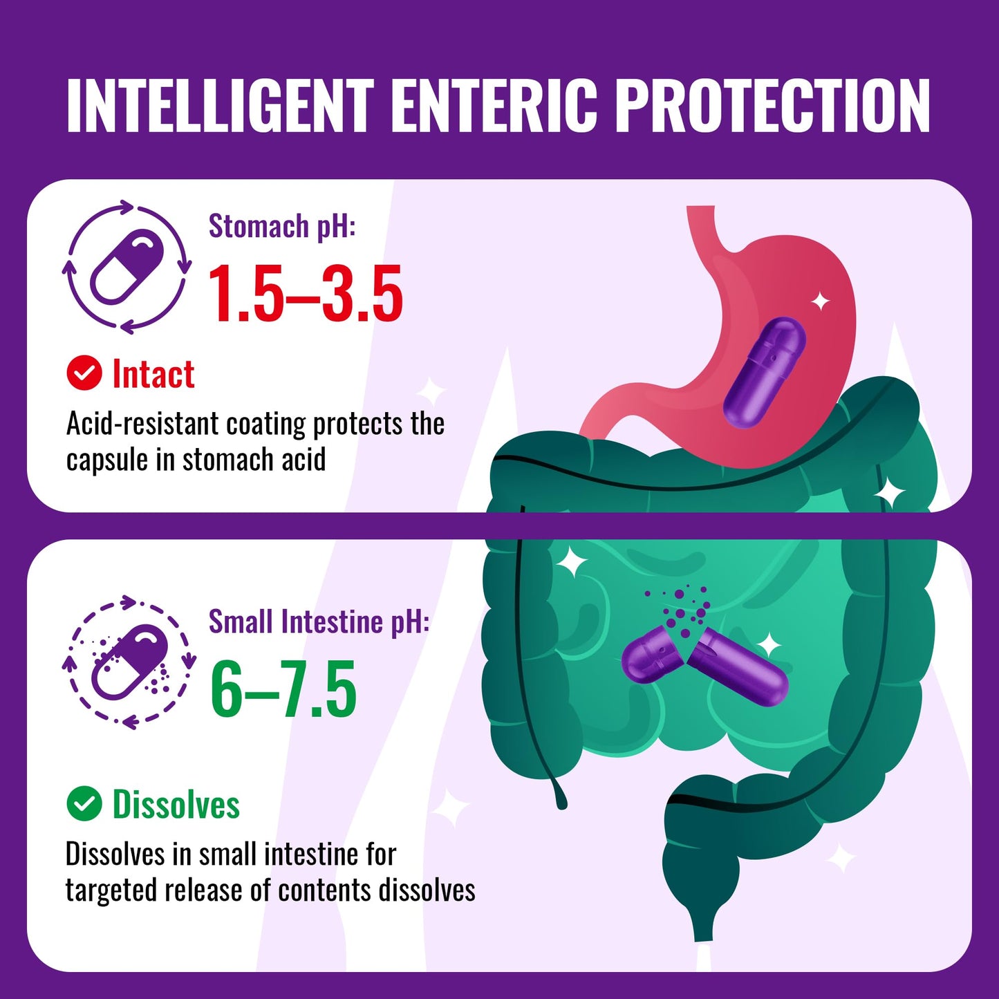 ATNreuro Size 0 Enteric Coated Empty Capsules – Acid Resistant Gelatin, Delayed Release – 1000 Capsules