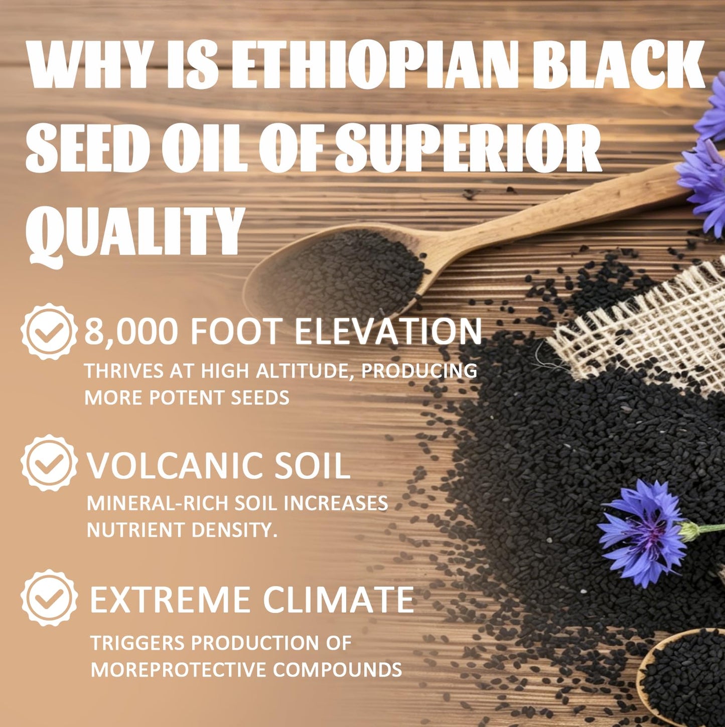 VDBHI Organic Ethiopian Black Seed Oil Softgels, 60 Count