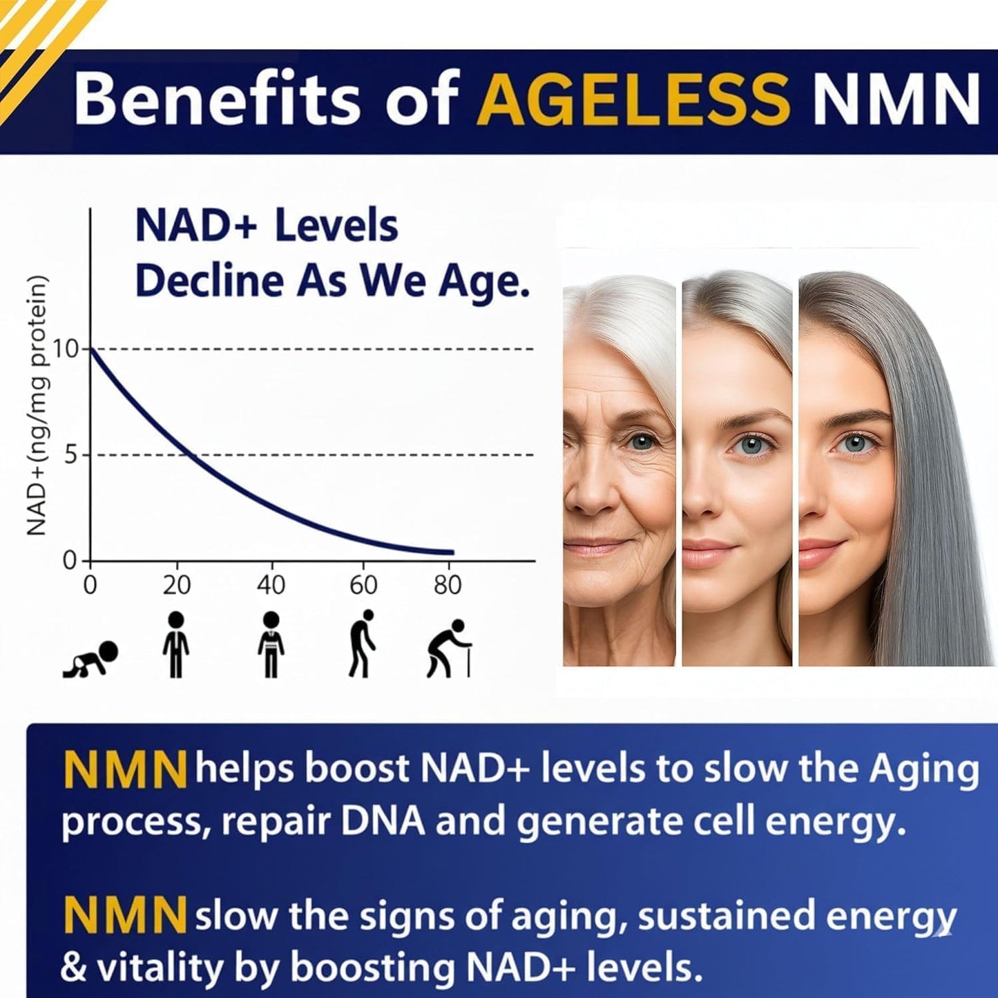 Ageless Foundation Laboratories NMN 500mg Capsule 1 Count