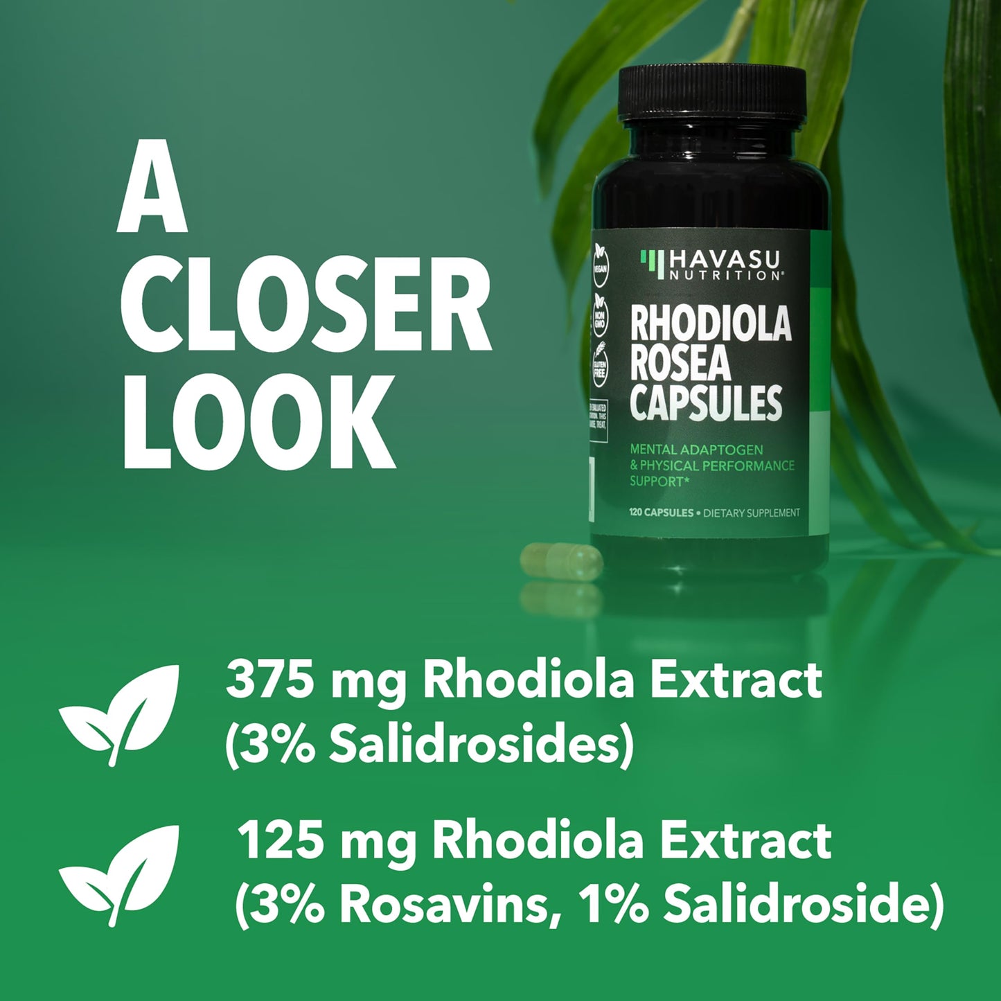 HAVASU NUTRITION Rhodiola Rosea Capsules, 120 Count