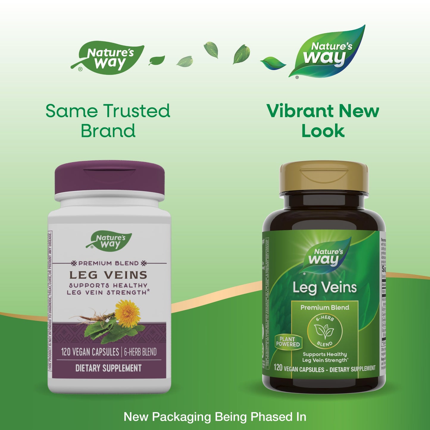 Nature's Way Leg Veins Support Blend with Tru-OPCSTM, Vegetarian Capsules 120 Count