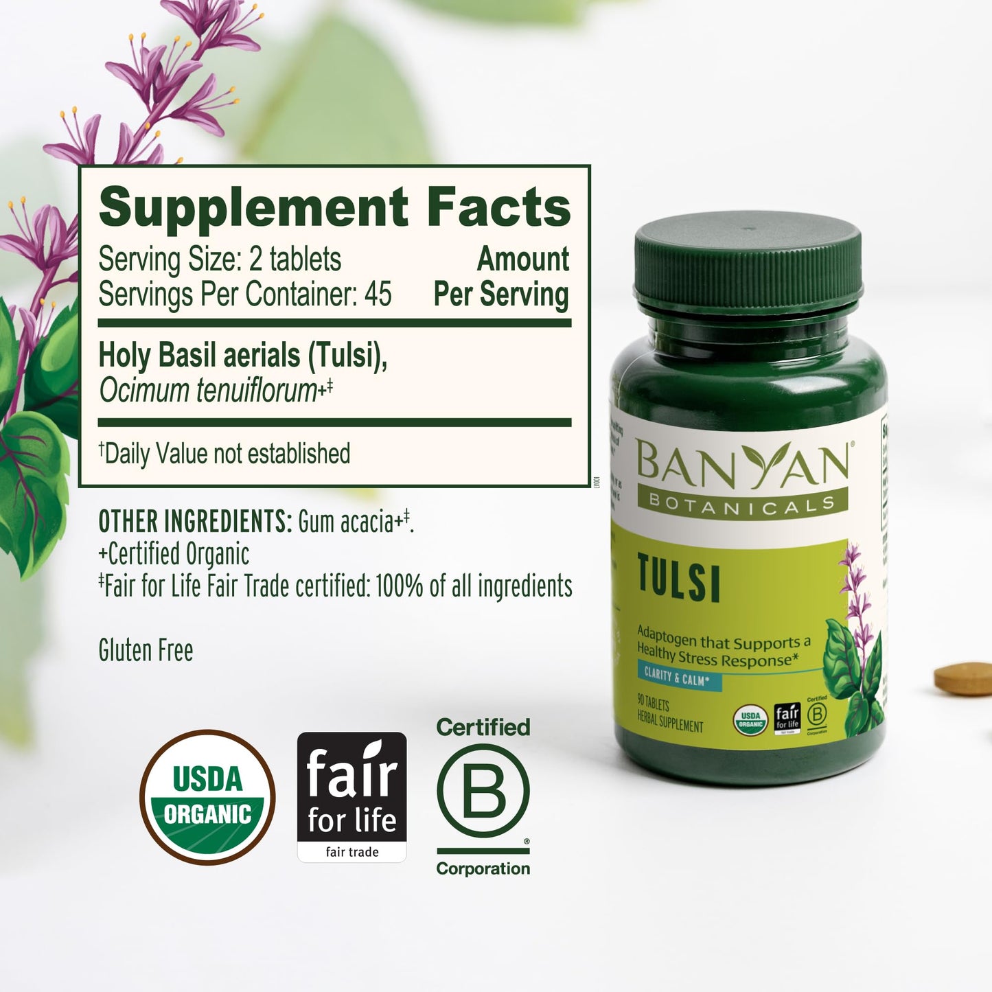 Banyan Botanicals Tulsi (Holy Basil) Tablets 90