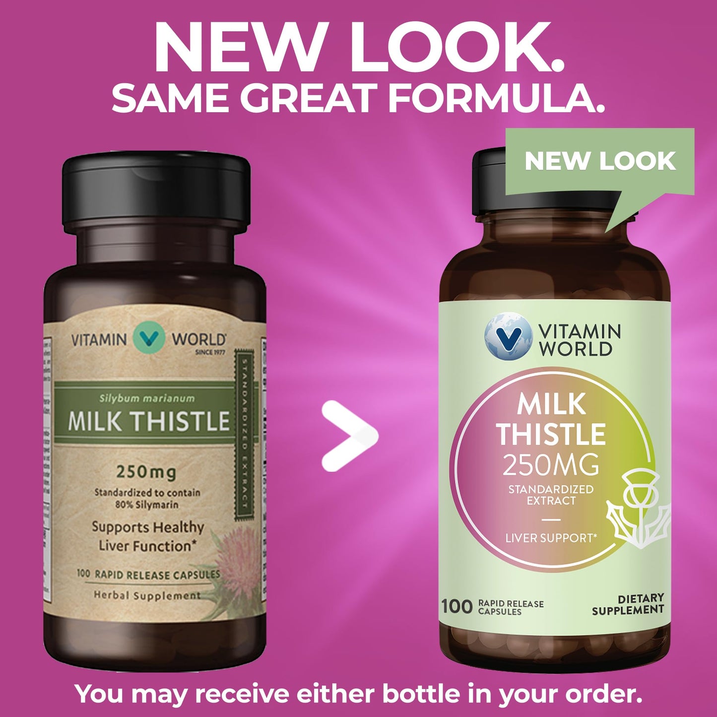 Vitamin World Milk Thistle (Silymarin) Standardized Extract 250mg Capsules, 100 Count