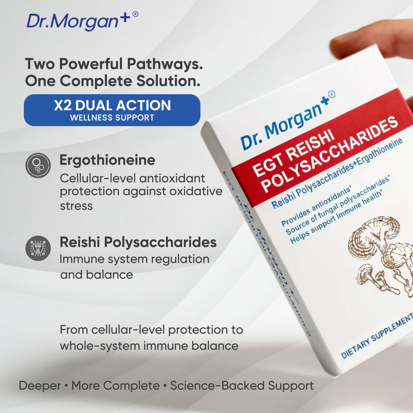 DR.MORGAN Ergothioneine & Reishi Polysaccharides Capsule 0.25