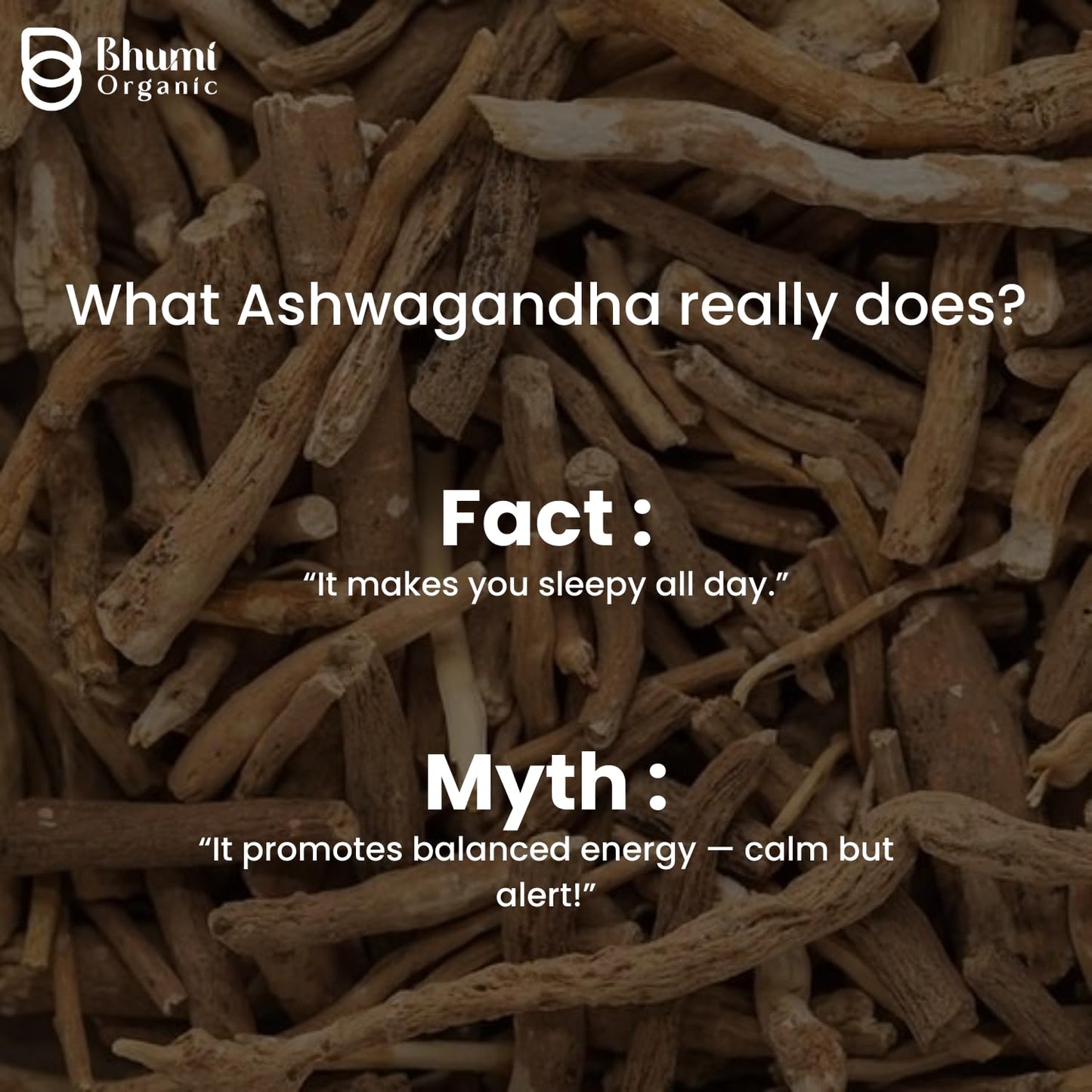 Bhumi Organic Ashwagandha Capsule 1 Count