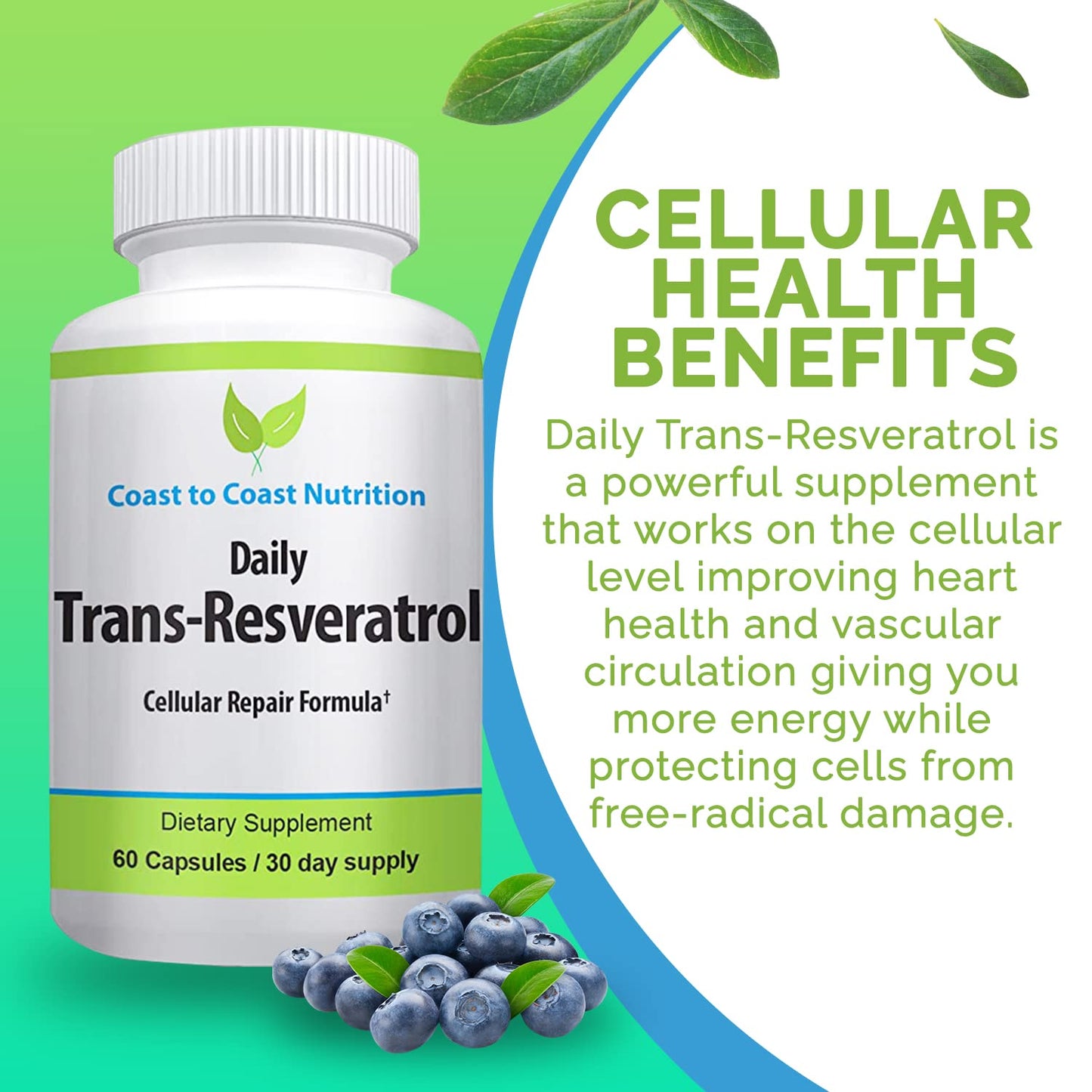Coast to Coast Nutrition Trans-Resveratrol Supplement Capsules 60 Count
