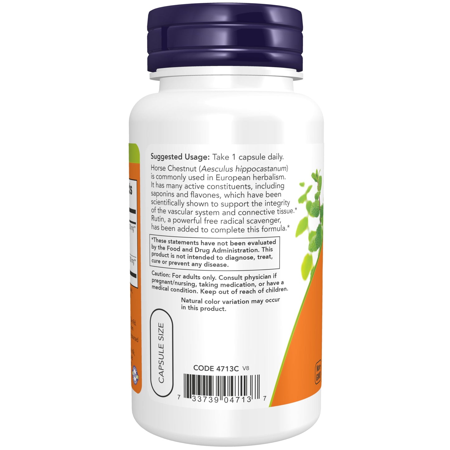 NOW Foods Horse Chestnut 300 mg with Added Rutin Circulatory Support Capsule, 90 Count