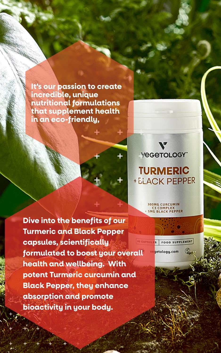 VEGETOLOGY Vegan Turmeric & Black Pepper Capsules, 60 Capsules