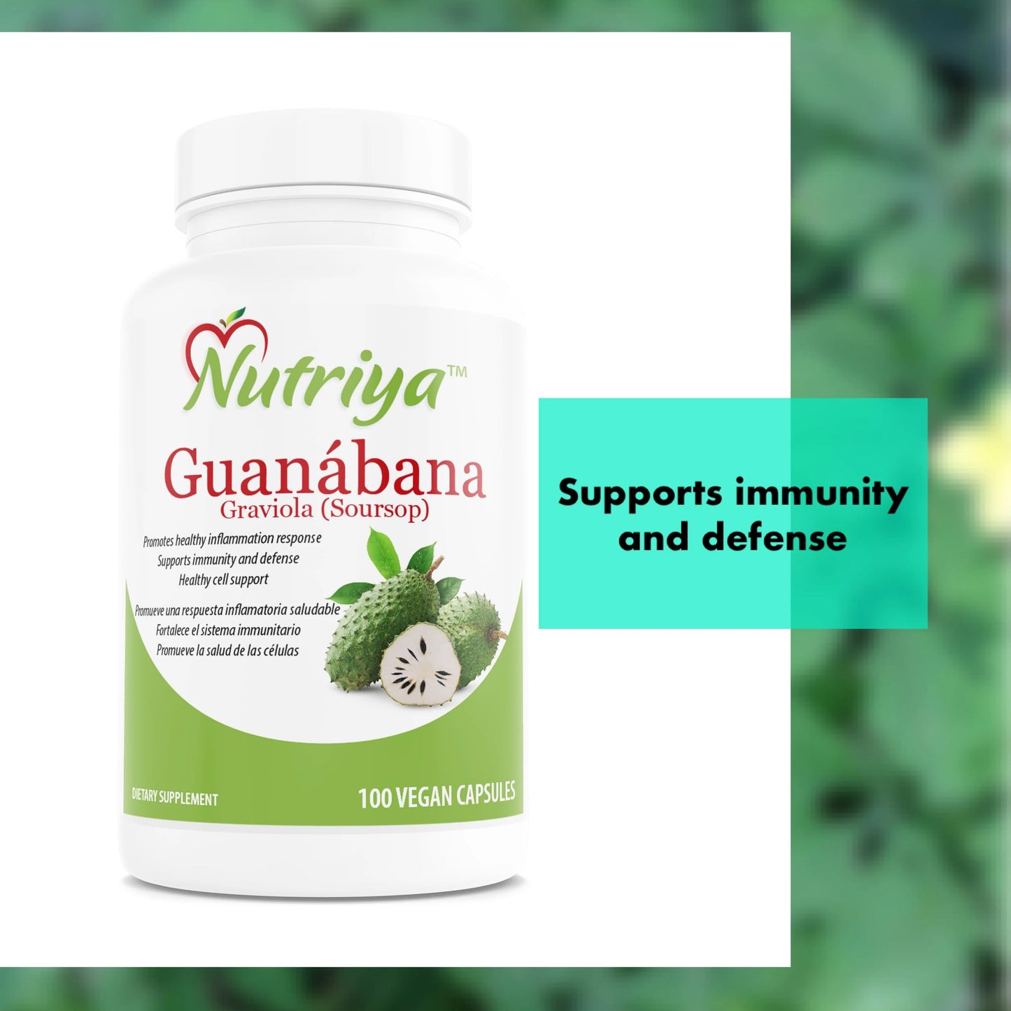 Nutriya Guanábana (Graviola-Soursop) Super Antioxidant - Supports Healthy Cells - Immune System Booster, 100 Vegetarian Capsules