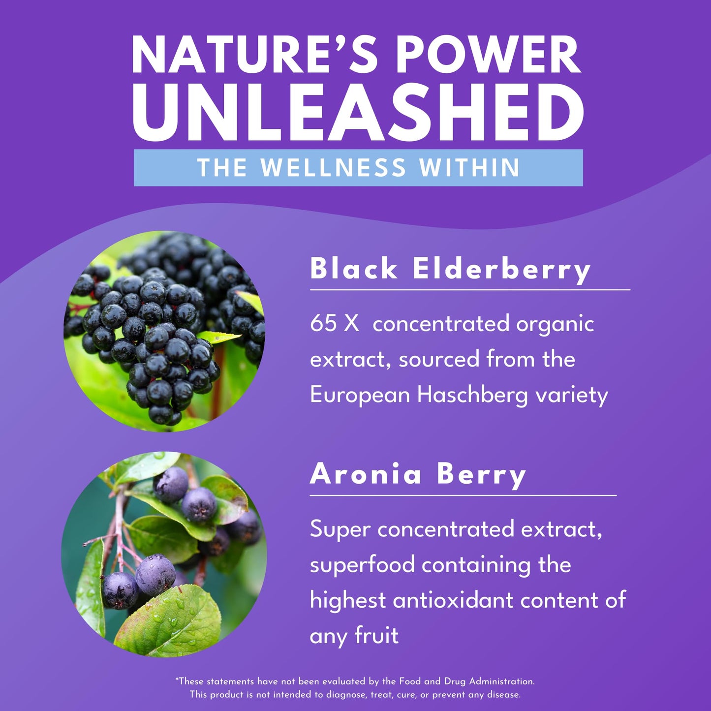 Bold Botanica Elderberry Plus 65x Concentrated Black Elderberry with Vitamin C & Zinc for Adults, Non-GMO, 30 Vegan Capsules