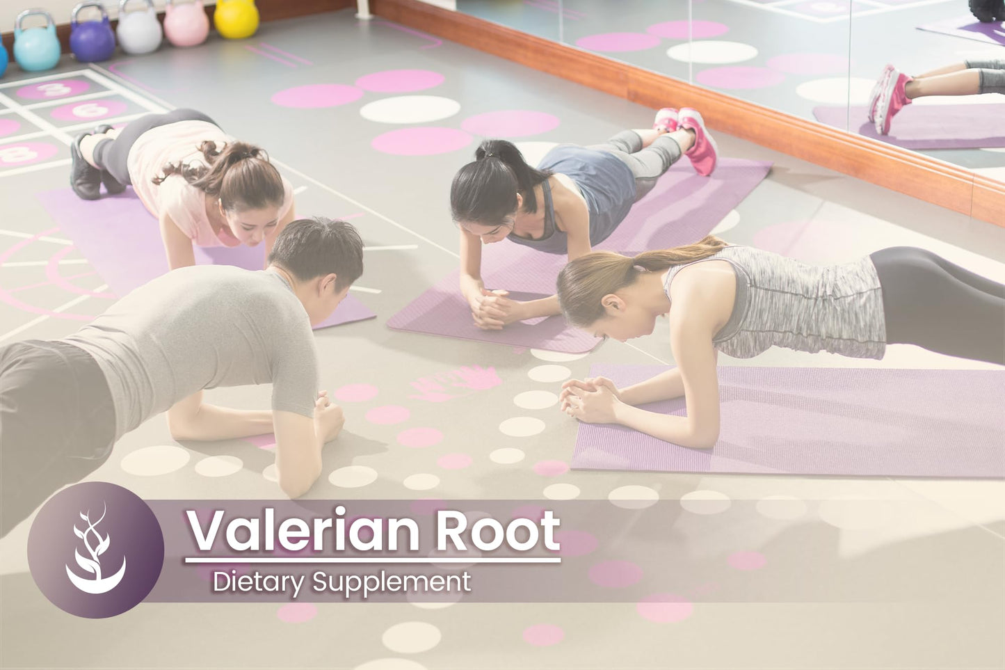 PURE ORIGINAL INGREDIENTS Valerian Root Capsules 100