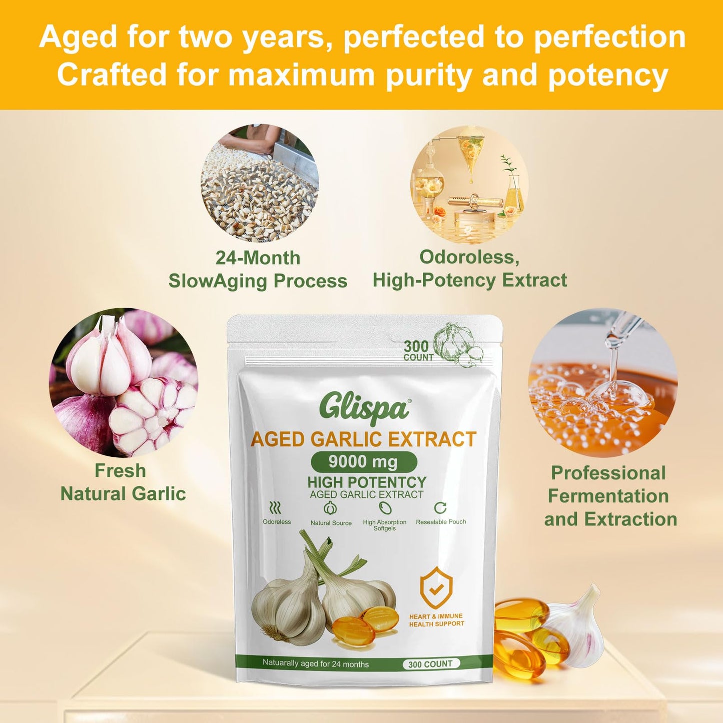 Glispa Aged Garlic Extract Capsule 1 Count