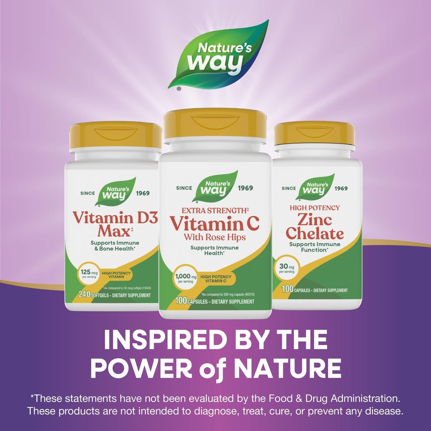 Nature's Way Vitamin C with Rose HIPS Extra Strength 1000 mg per Serving, 100 Capsules
