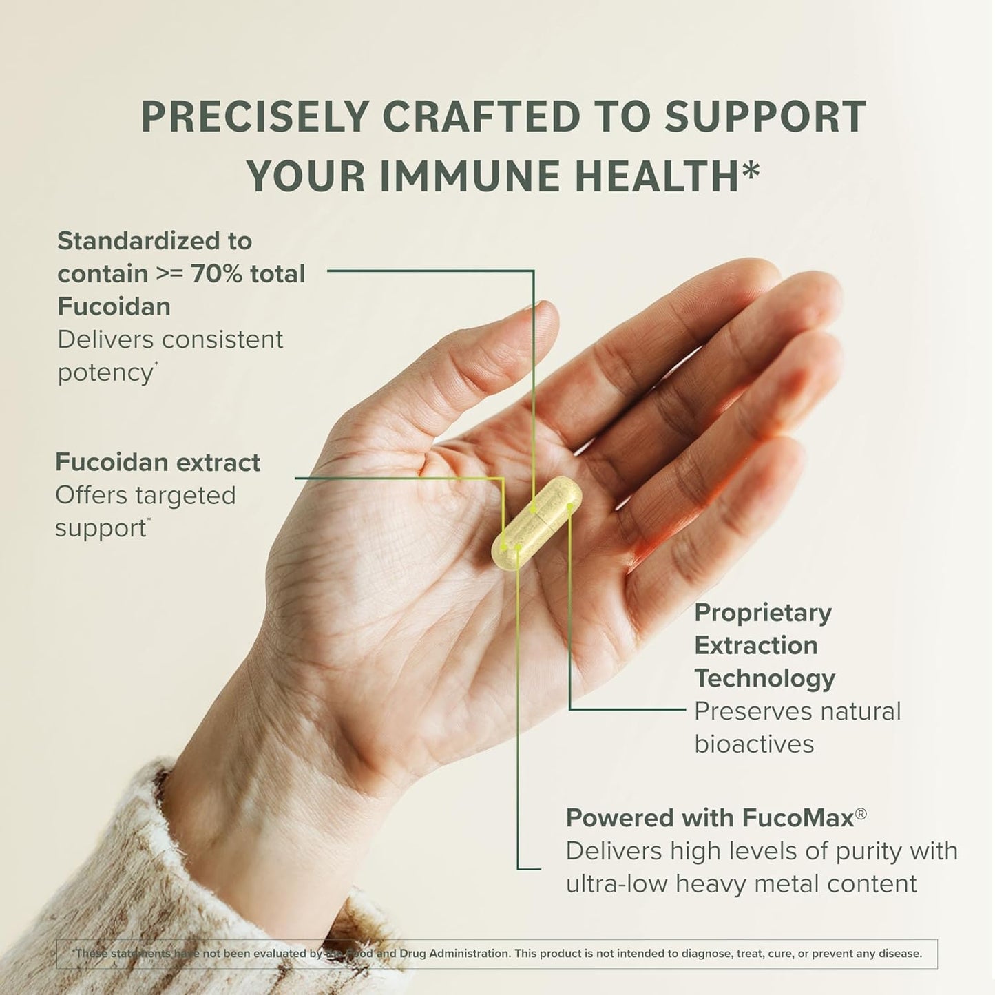 Prominent Nutrition Fucoidan Gut Health & Immune Support Supplement – 250mg Premium Brown Seaweed Extract Capsule, 120 Capsules