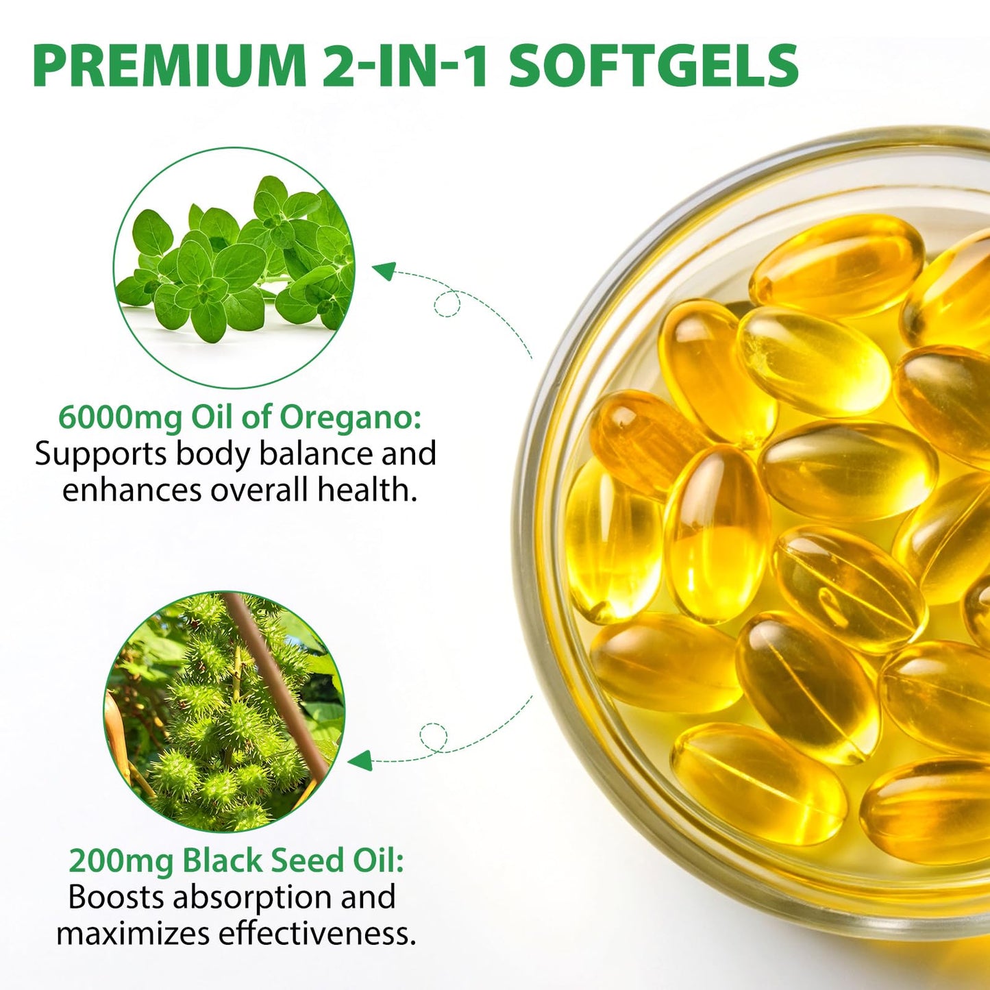 Flasture Oil of Oregano Capsules 240 Count