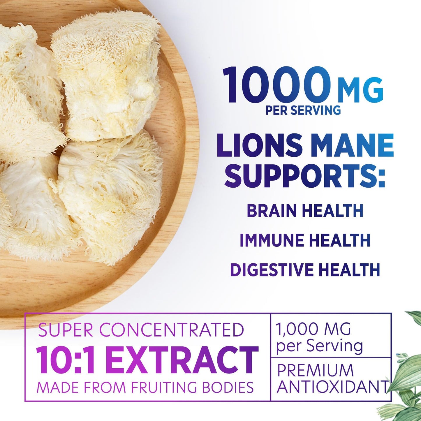 Nature's Peak Lions Mane Supplement Capsules 1000mg per Serving, Extra Strength Lions Mane Mushroom, Brain and Immune Health Support, 120 Capsules