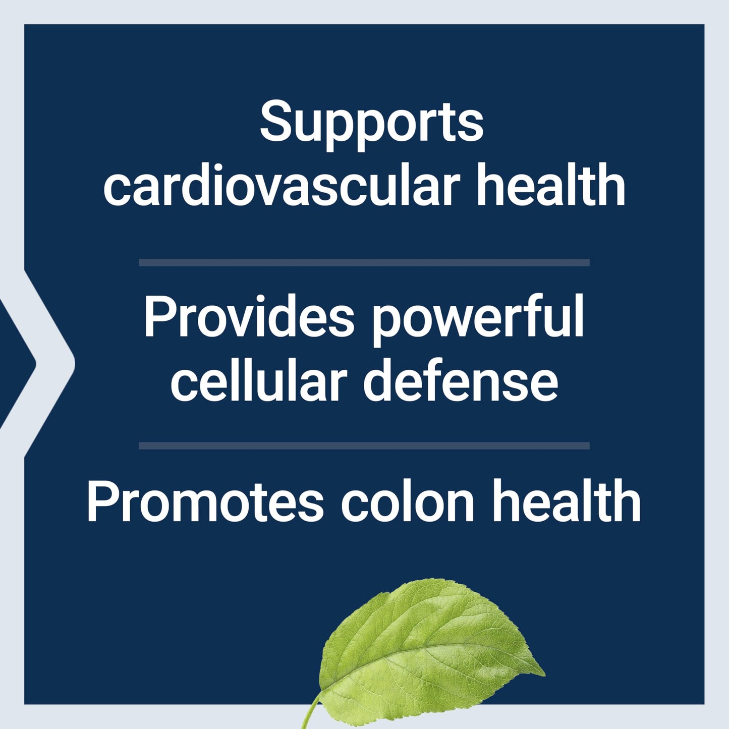 Life Extension AppleWise Apple Polyphenol Extract for Heart, Cellular and Colon Health, 30 Capsules