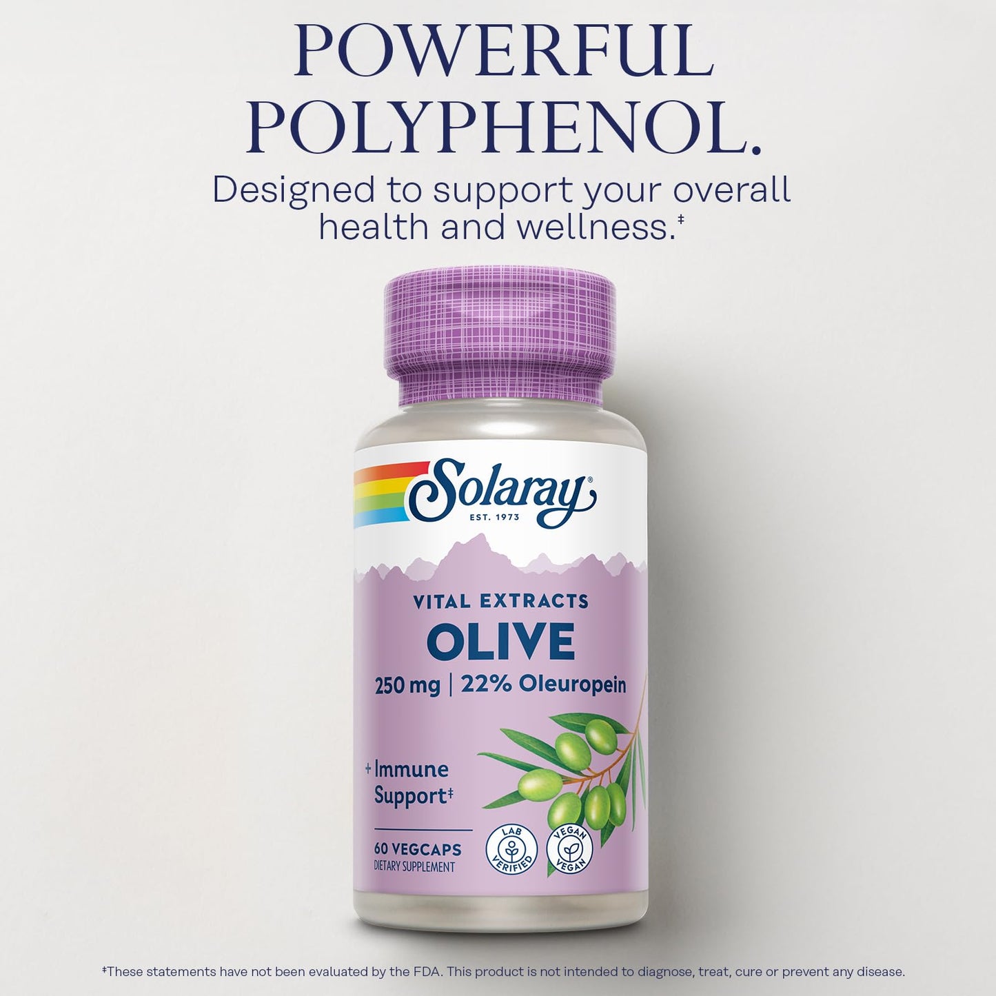 SOLARAY Olive Leaf Extract Capsules, 60 VegCaps