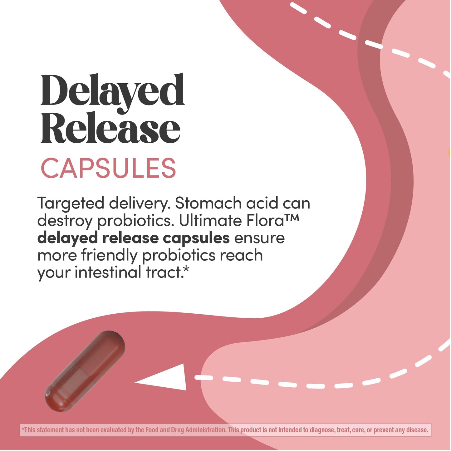 Renew Life Ultimate Flora Vaginal Probiotics for Women 6 Billion CFU Capsules, 60 Count