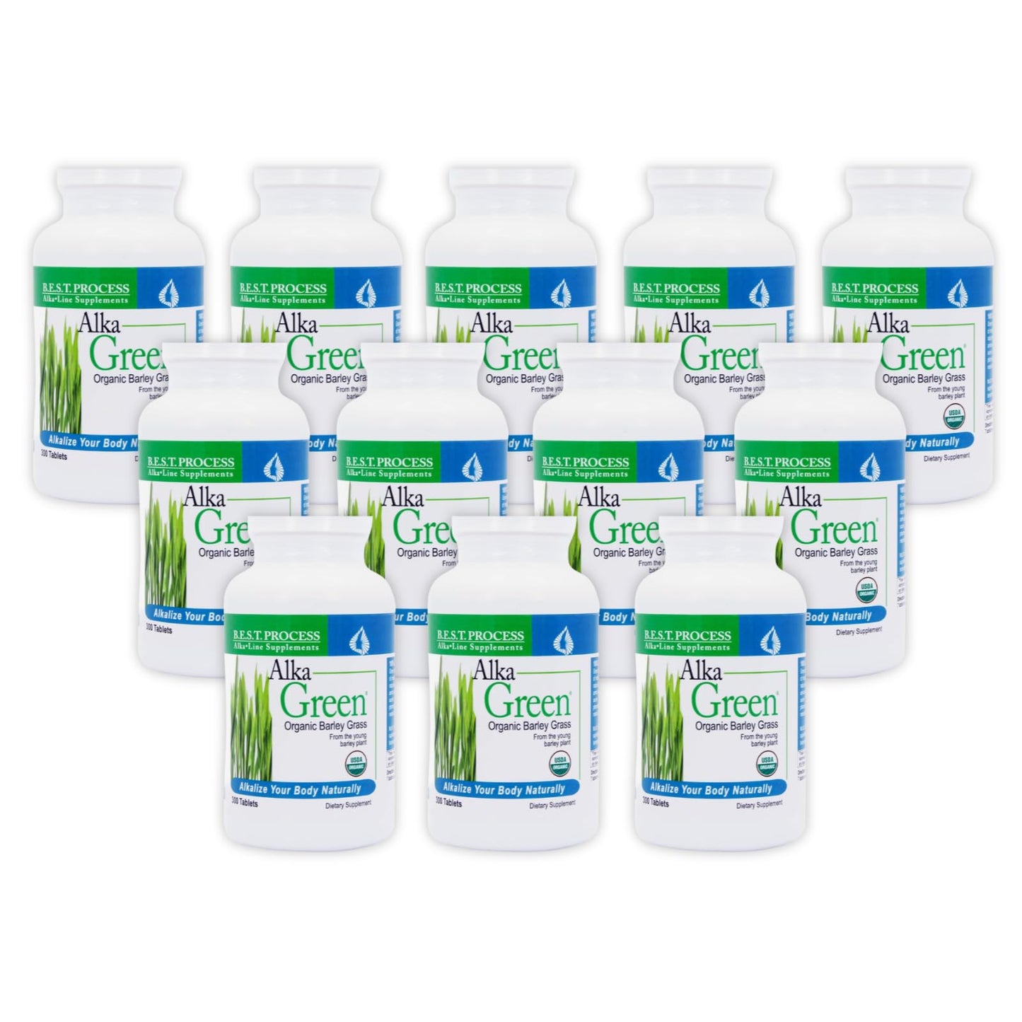 Morter HealthSystem Alka•Green Tablets, 12 Count