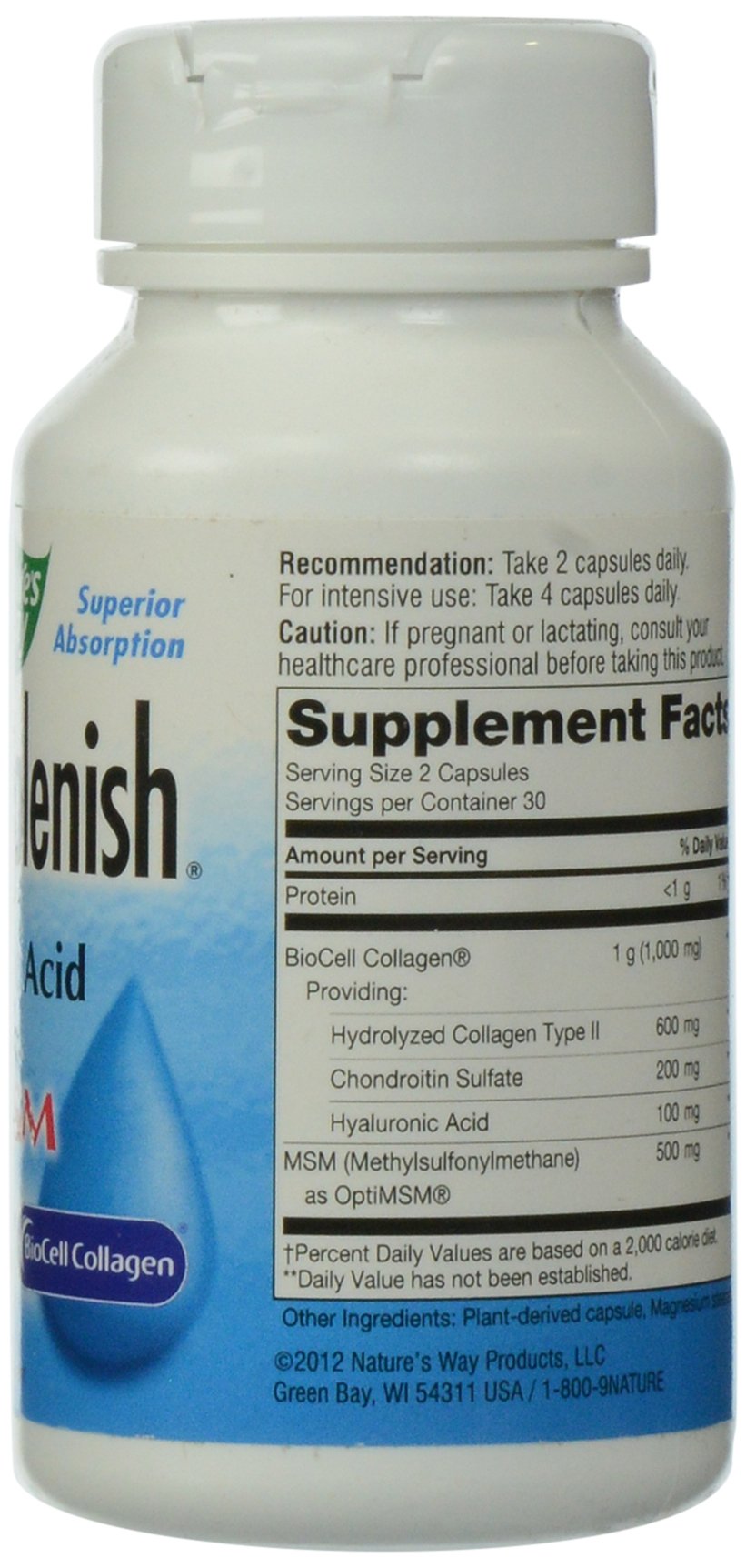 Nature's Way Hydraplenish Plus MSM, 60 Capsules