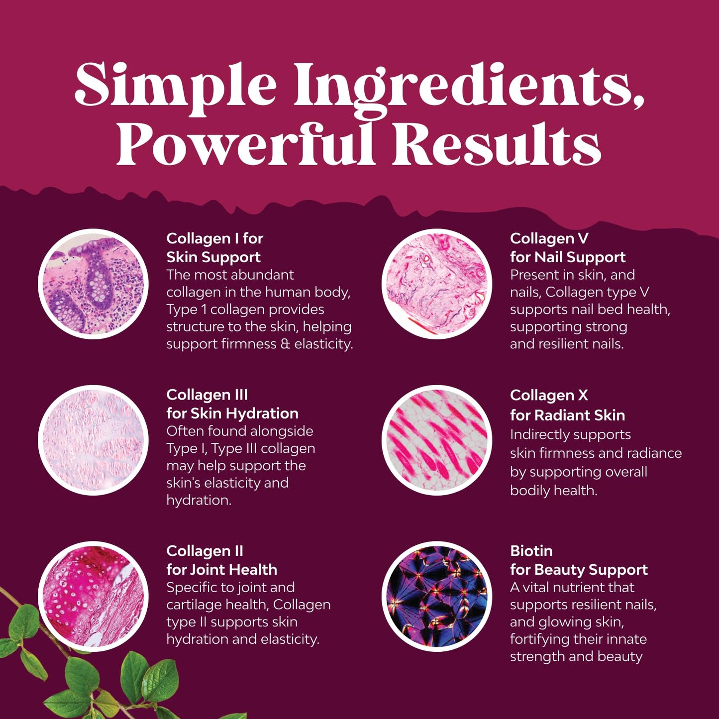 Natures Craft Advanced Multi Collagen Peptides Capsules, 120 Capsules