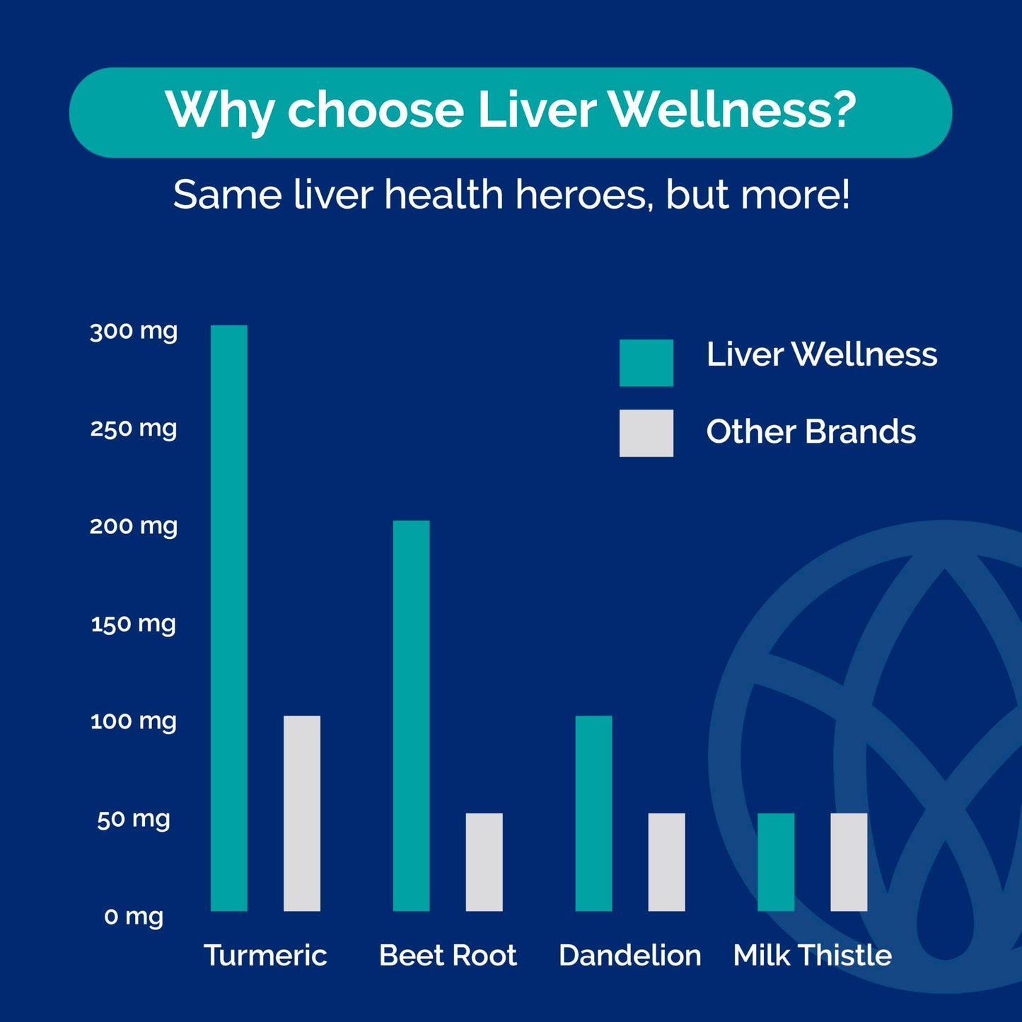 SYNVITE Liver Wellness Capsule 60 Count