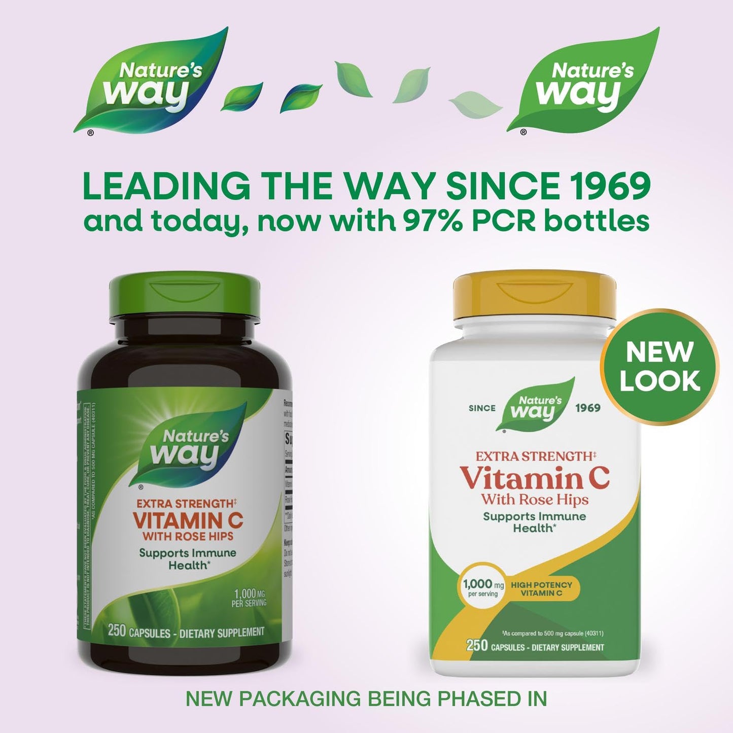 Nature's Way Vitamin C with Rose Hips Extra Strength Capsule 250 Count