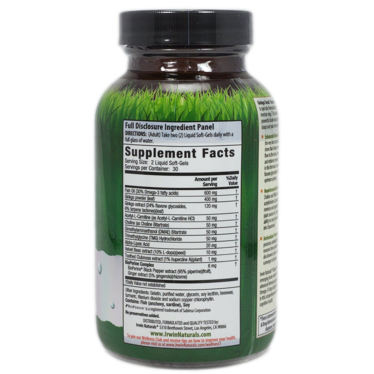 Irwin Naturals Ginkgo Smart 60 Capsules