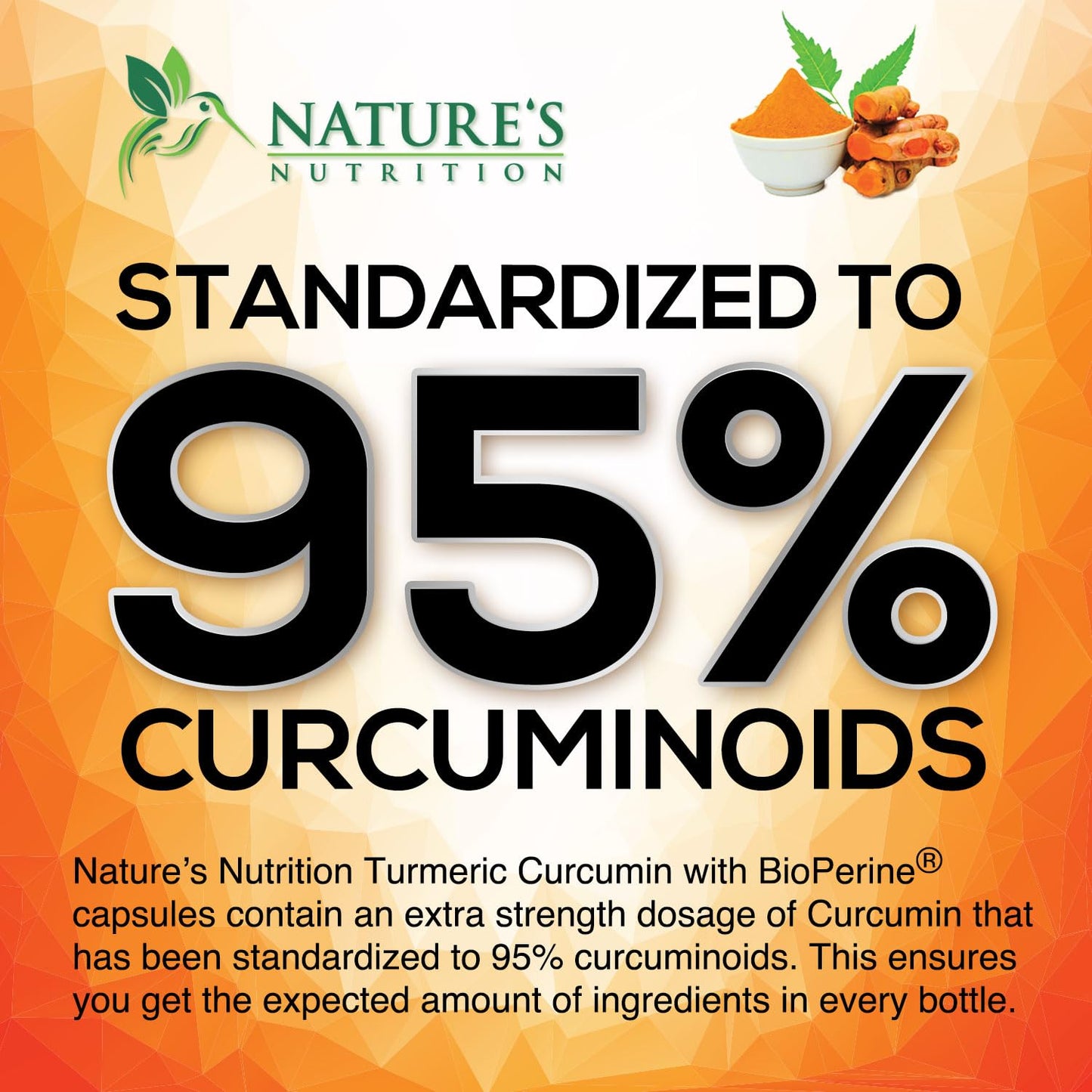 Nature's Nutrition Turmeric Curcumin Supplement Capsule, 60 Capsules