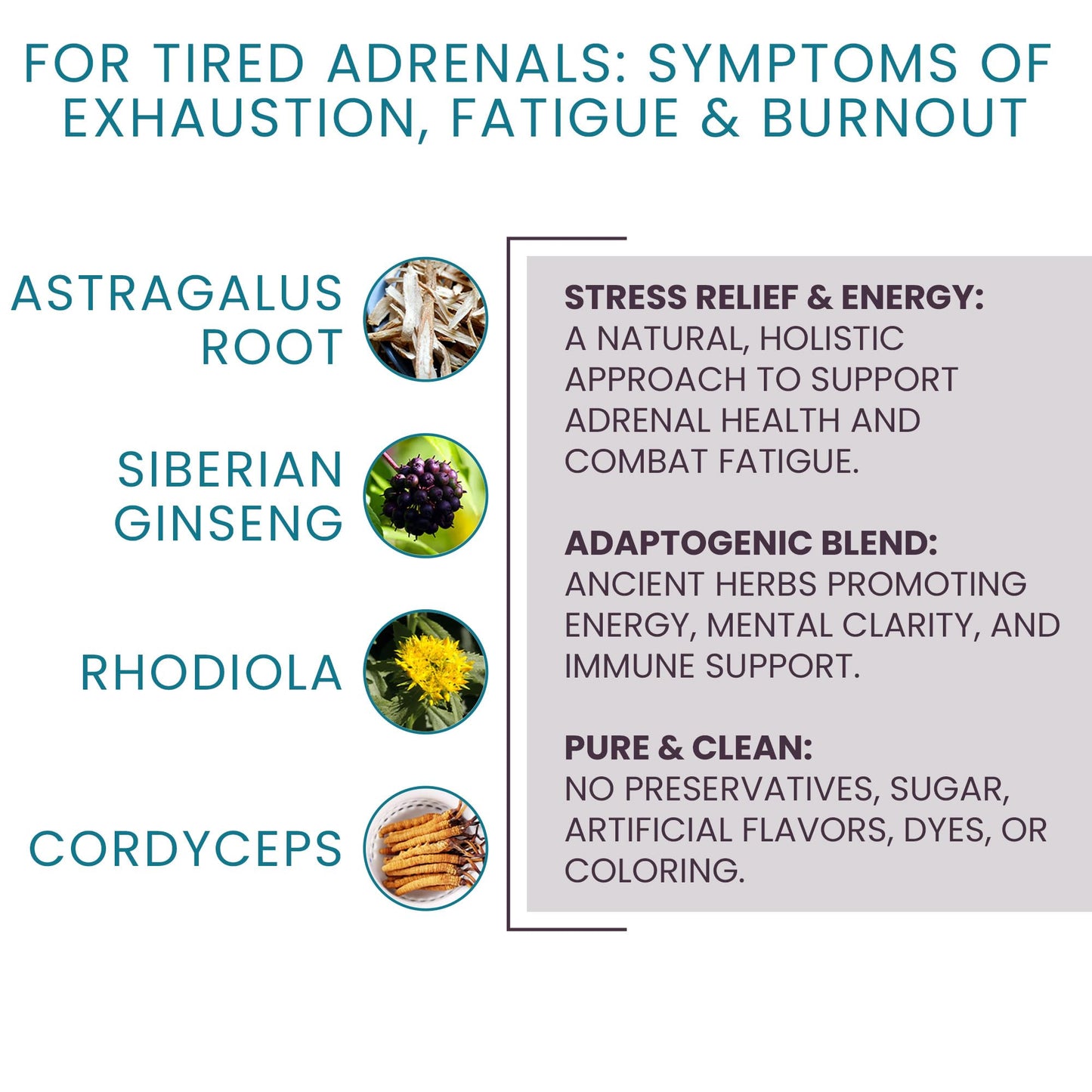 Women's Health Network Adaptisol Adrenal Support Supplements for Women Cortisol Supplements with Adaptogens Capsules 120 Count