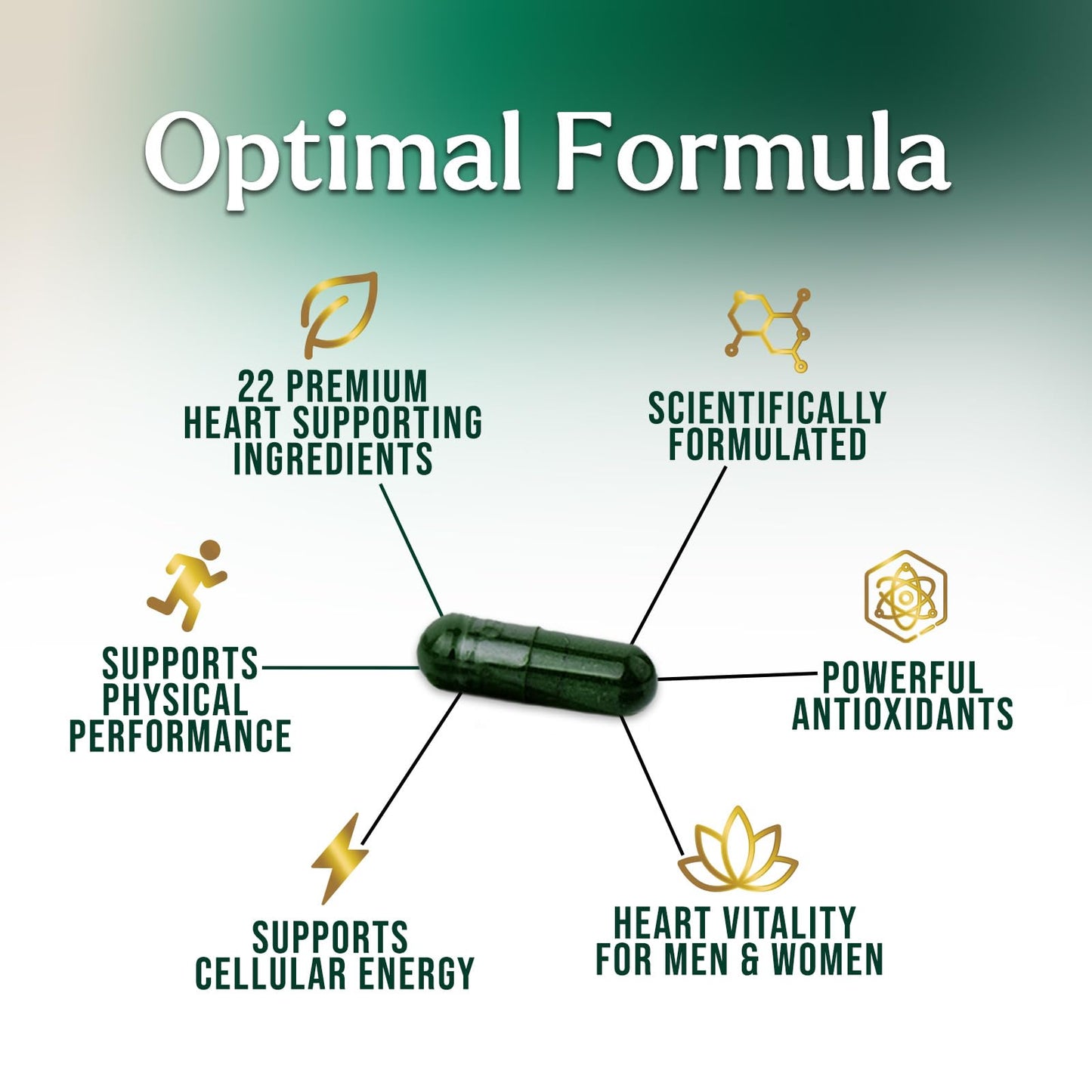 Nature's Nutrition Heart Health Supplement – Complete Heart Support Formula for Women & Men, with CoQ10, B Vitamins, L-Arginine, Hawthorn, Resveratrol – Natural Nitric Oxide Energy Production – Made USA, 60 Capsules