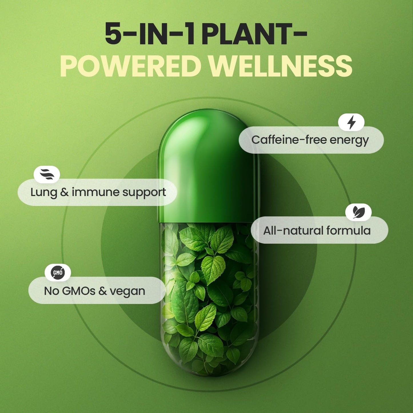 Vitamax Moringa, Beet Root, Mullein Leaf Capsules 60 Count