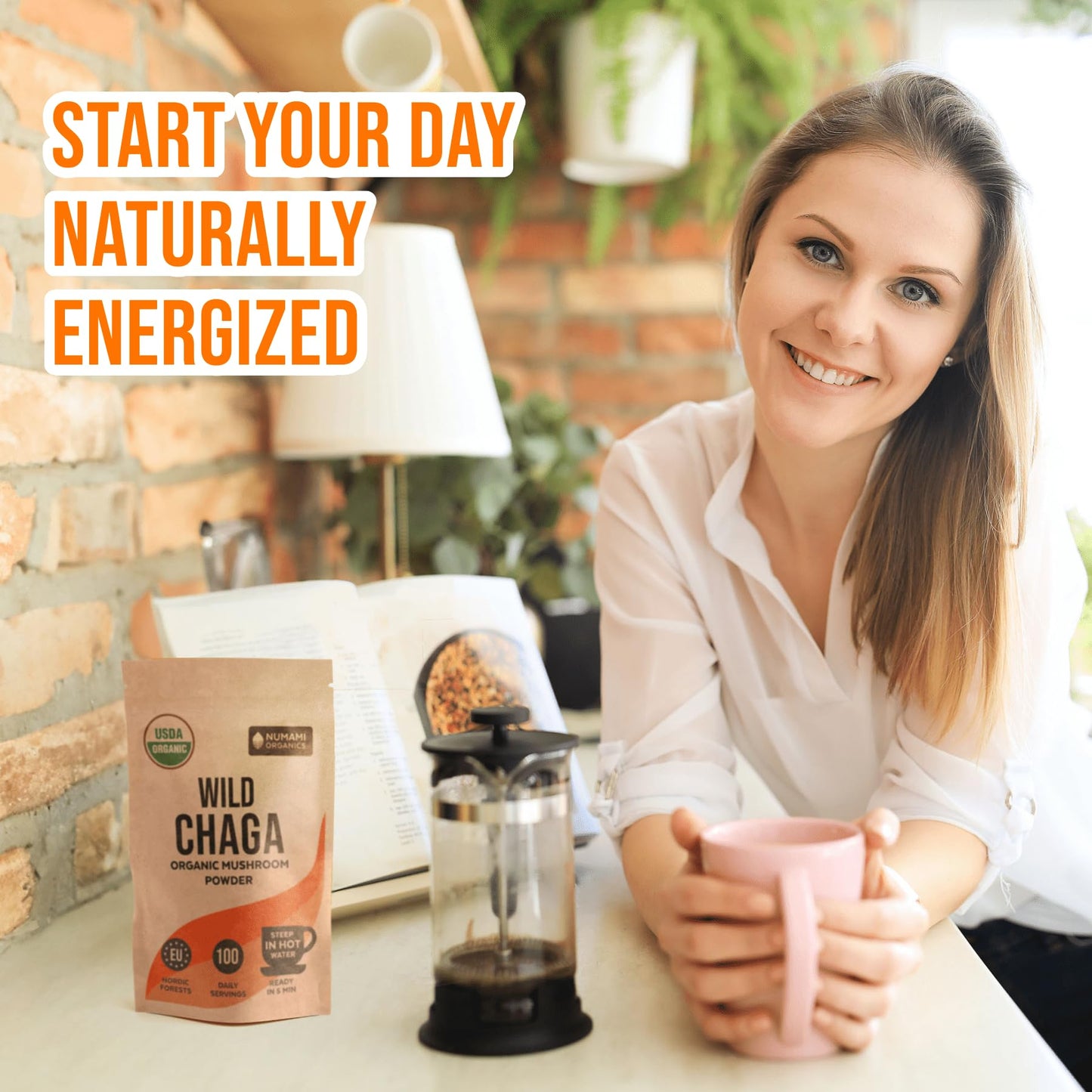 Numami Organic Chaga Mushrooms Powder 3.5 oz