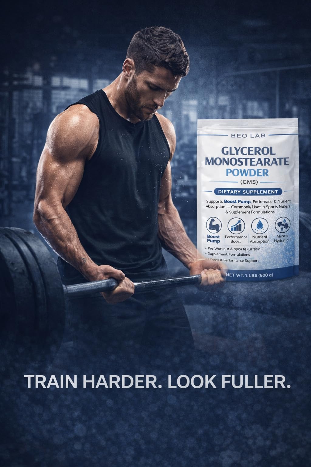Emir&Odin Glycerol Monostearate Crystal Powder, 370 Servings