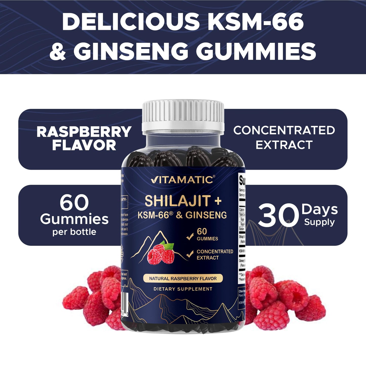 Vitamatic Shilajit with KSM-66 Ashwagandha & Ginseng Extract Gummies, 60 Count